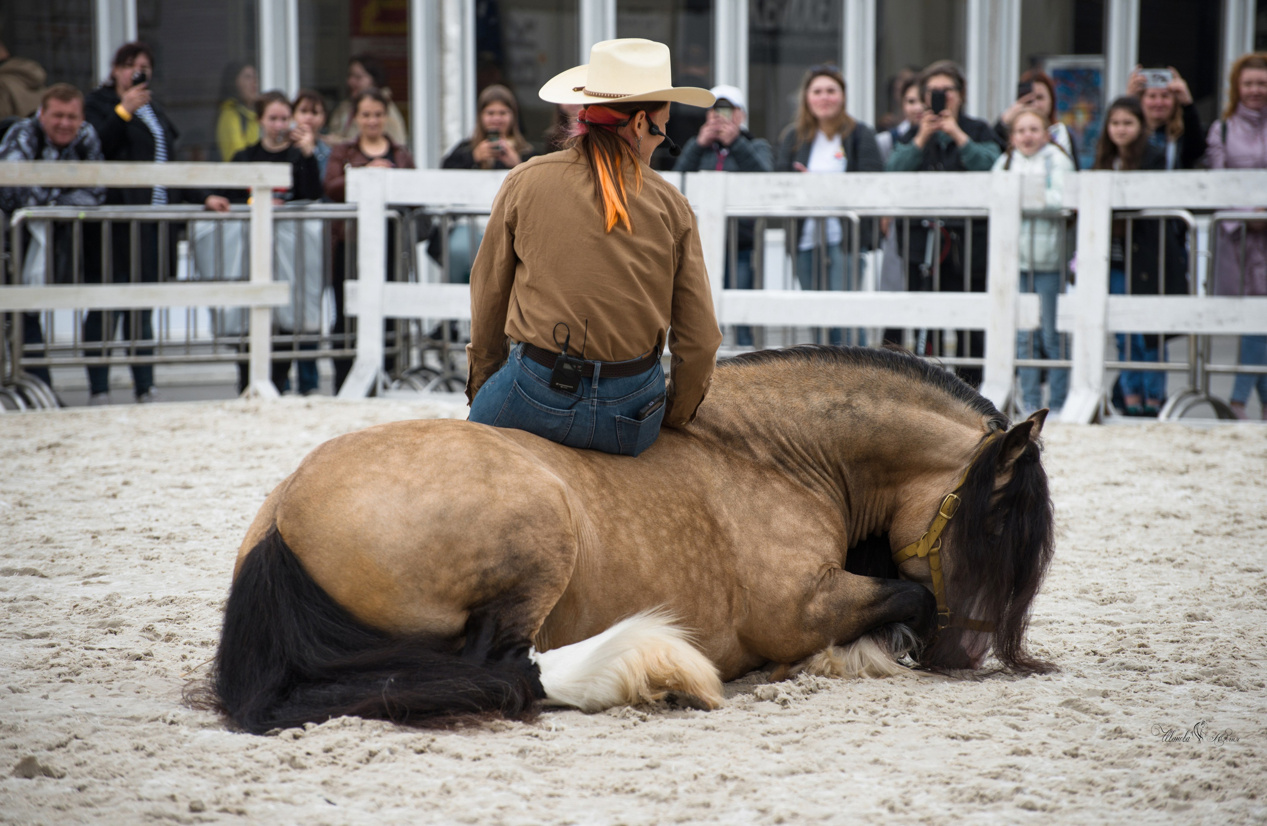 Эквирос, Москва. Конный фотограф в Саратове Юлия Иванова