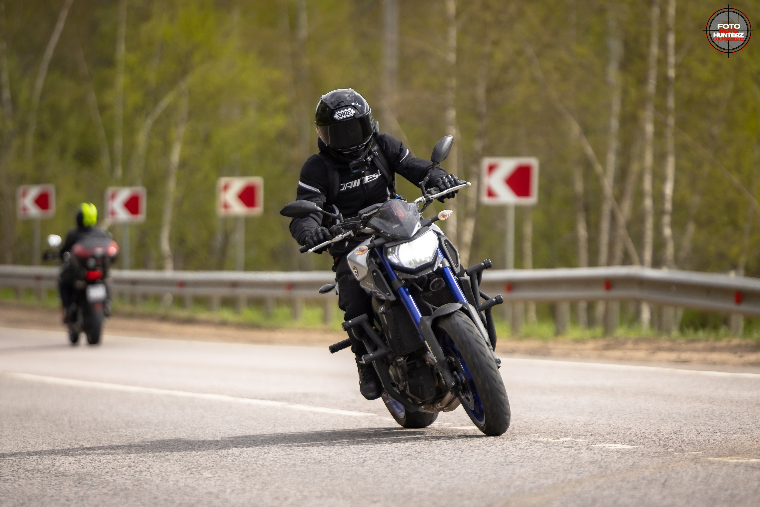 Первое Сафари в 2025 г. на Рогачевском ш. Фотограф Владимир Охрименко