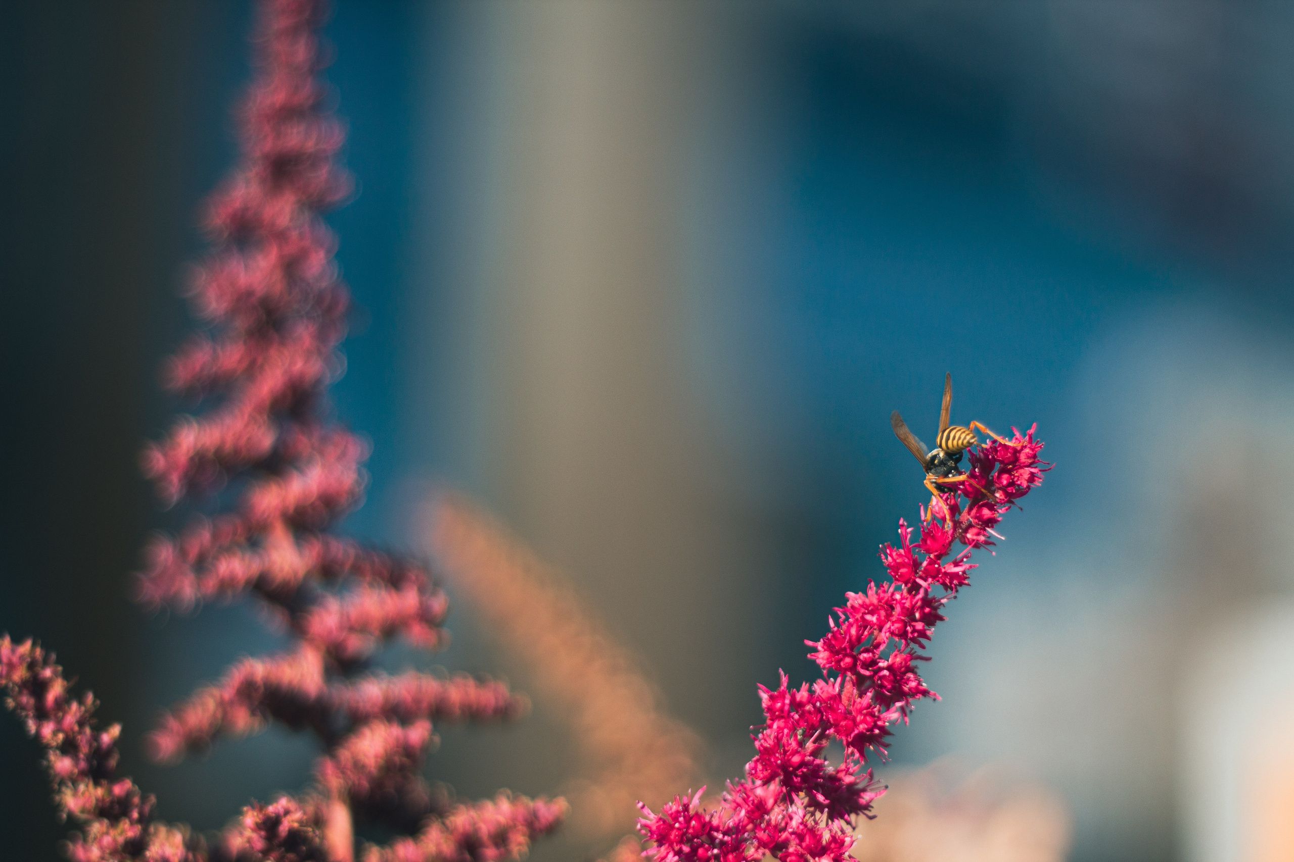 Природа. Фотограф Москва, портрет, стрит, репортаж. Художественная фотосессия