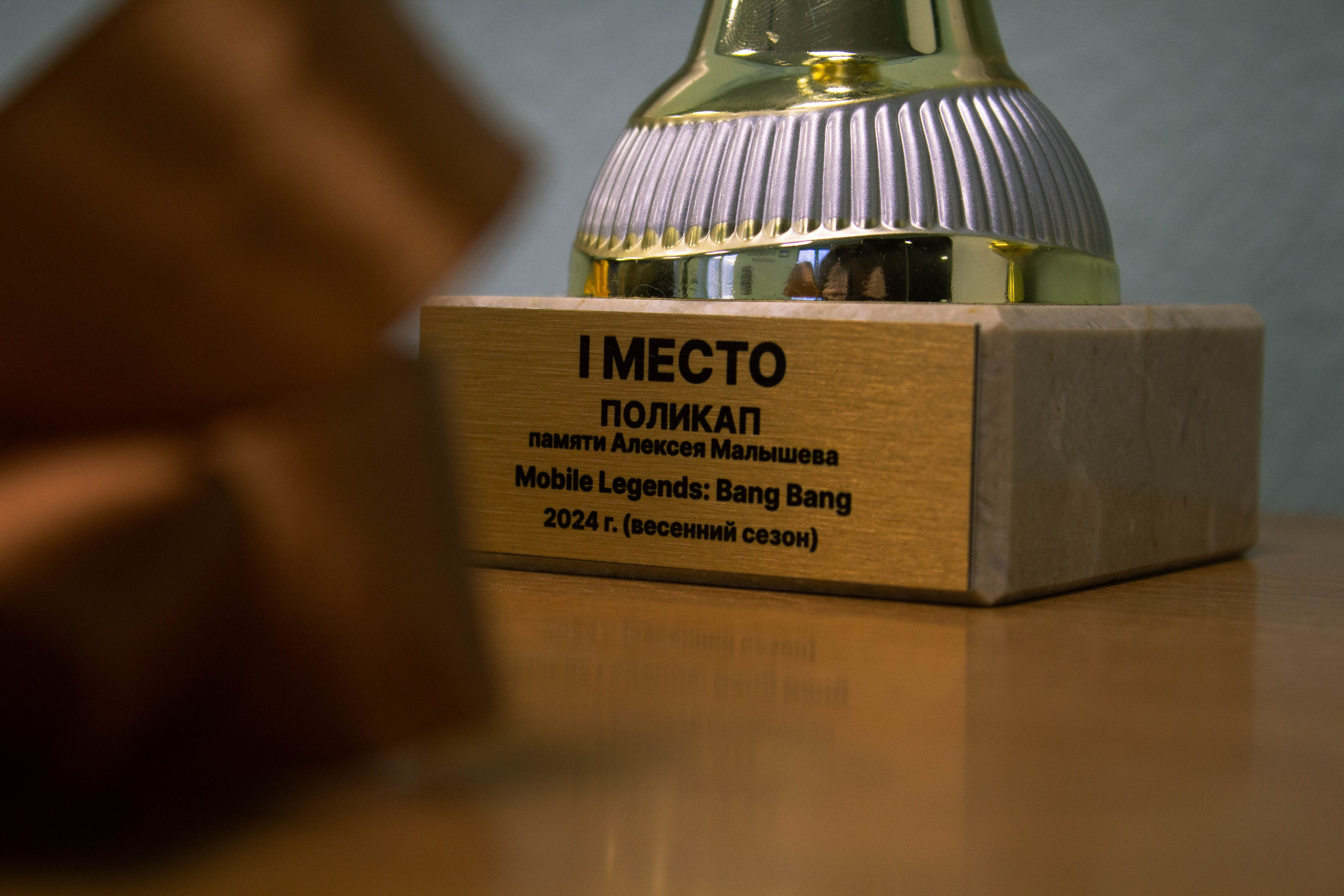 Polycup. Карпогоры, Санкт-Петербург