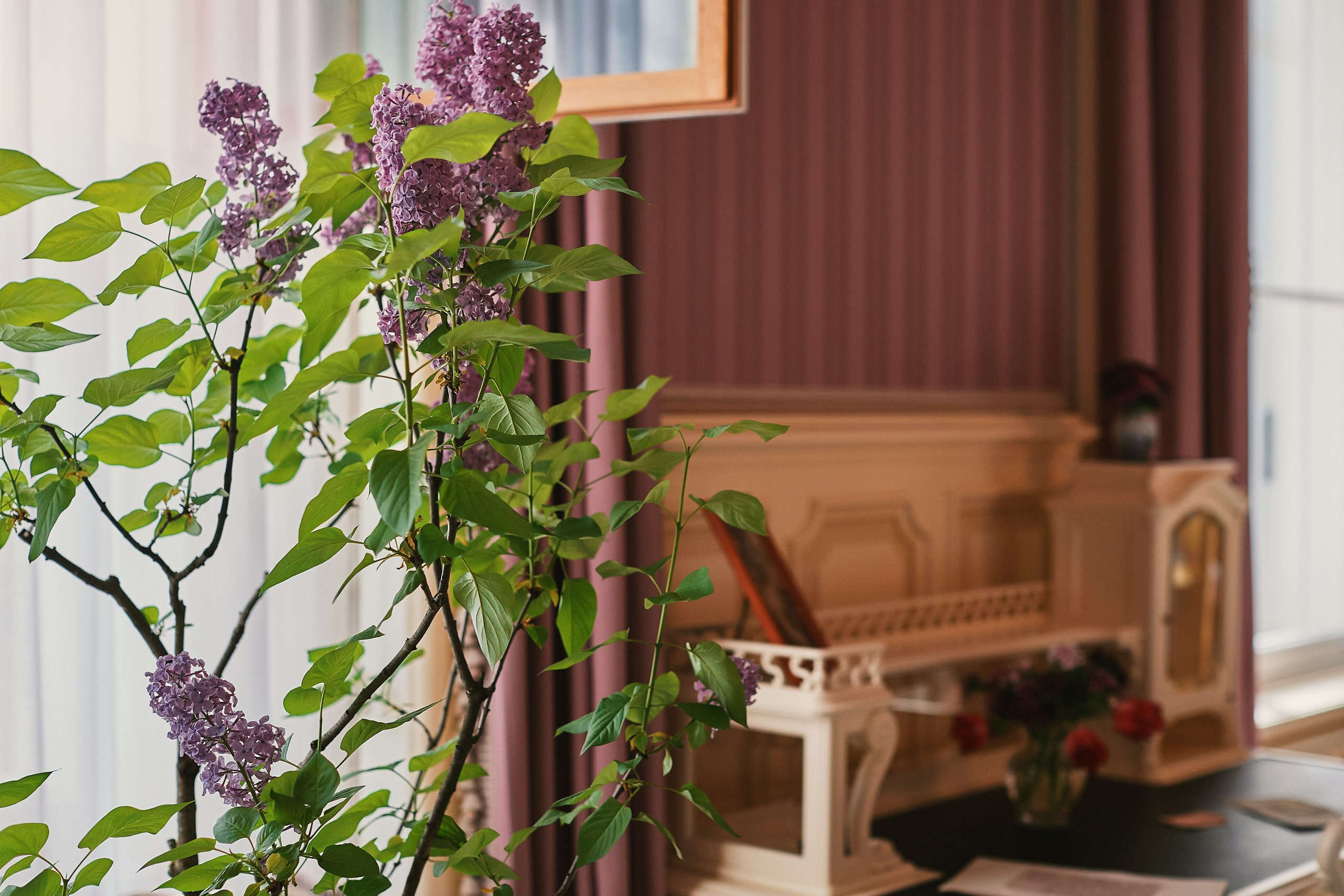 Александровский Дворец Царское Село. Фотограф Валерий Сабрам