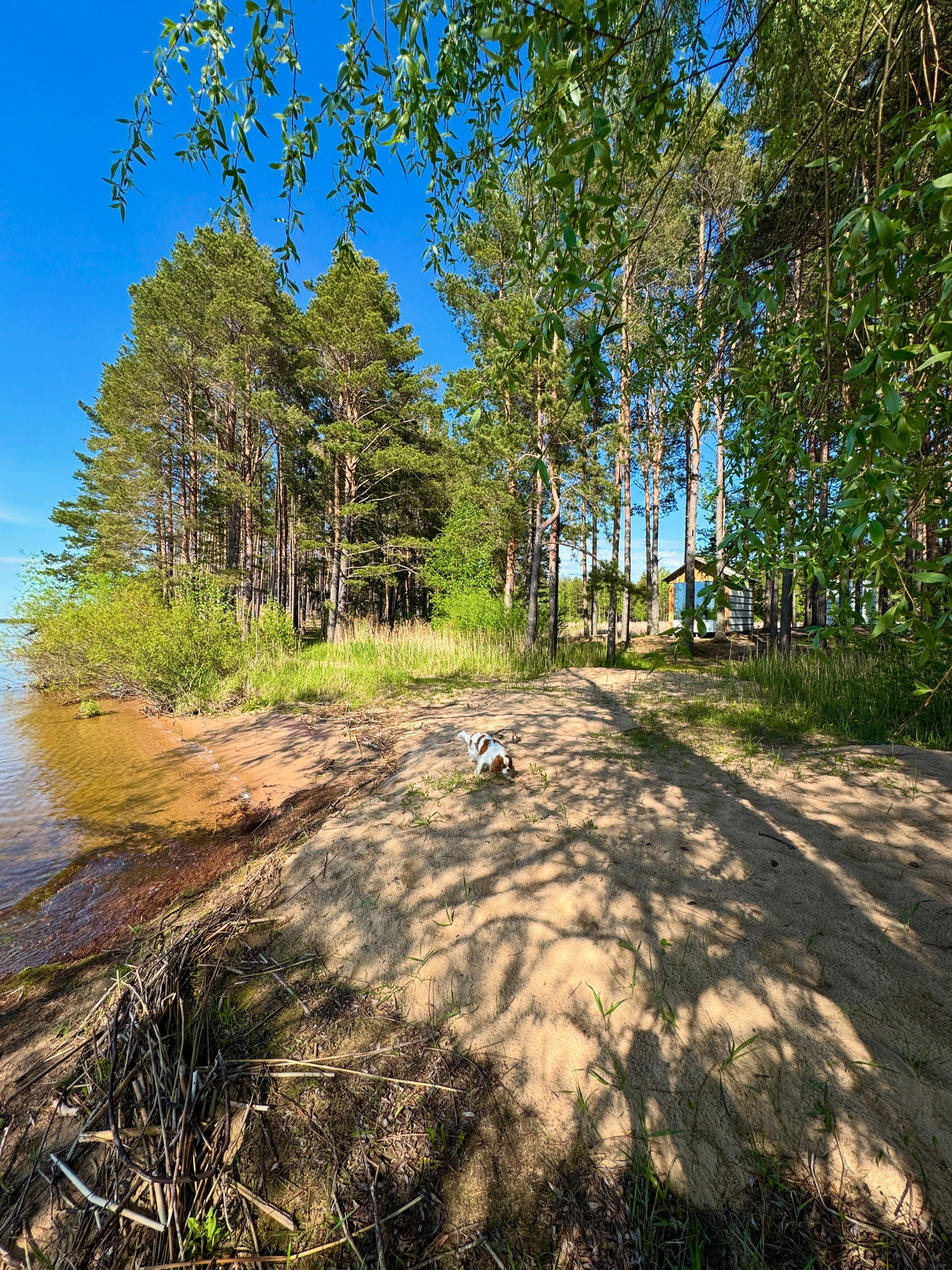 Домики. Добро пожаловать в Кемпинг — уникальное место для отдыха на лоне природы!