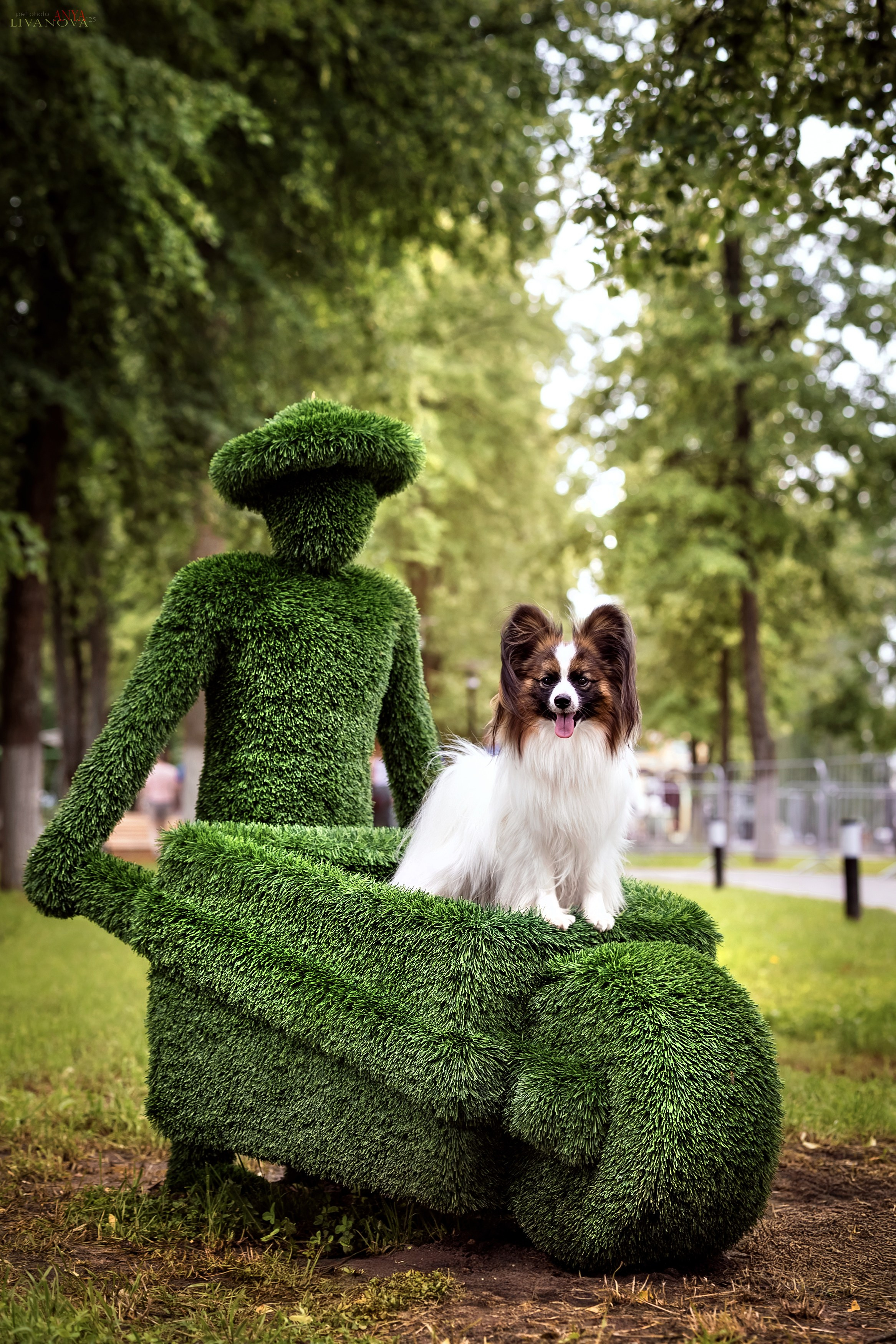 Хьюстон. Фотограф анималист Аня Ливанова | Рыбинск