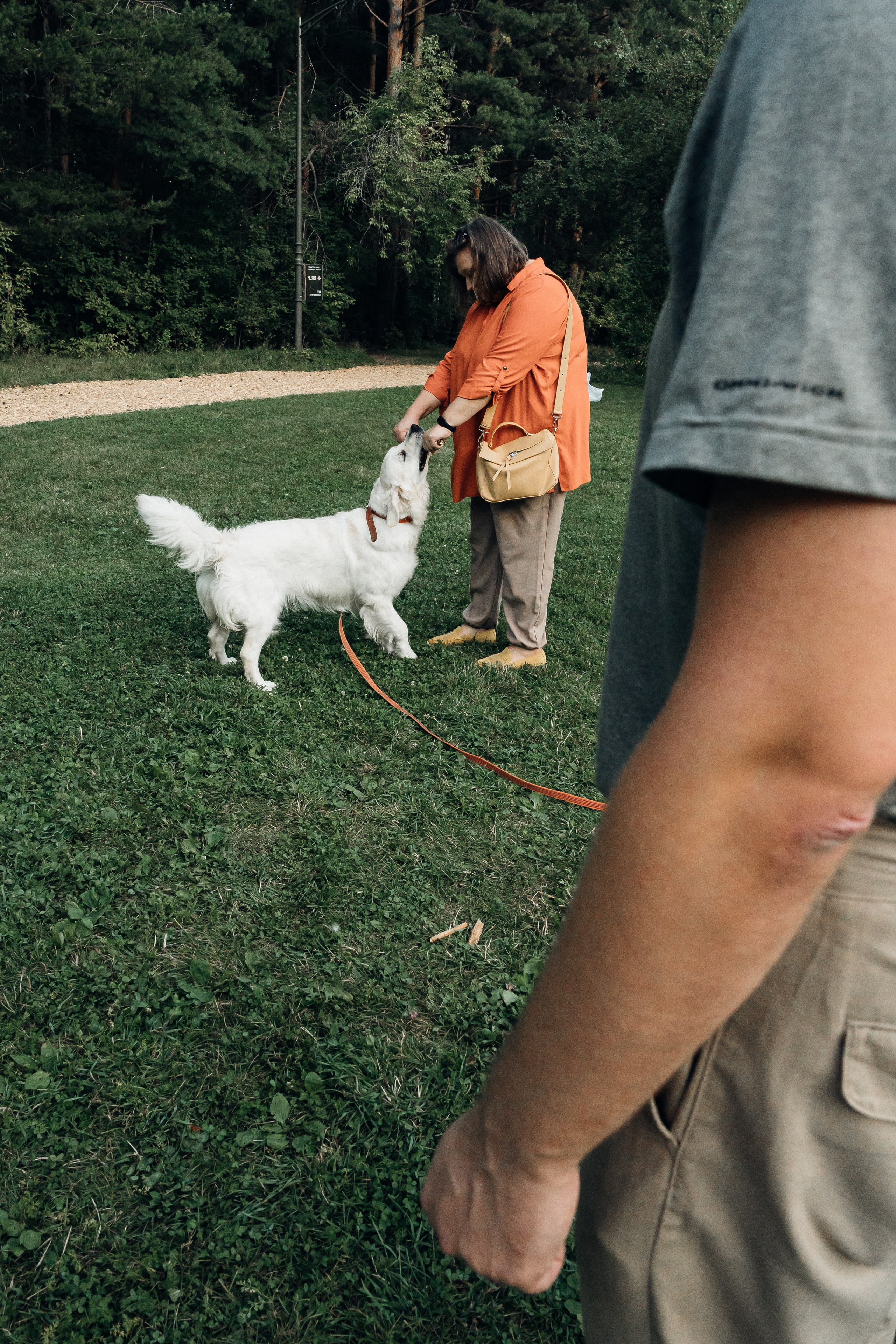 Светлана и Джесси. Фотограф и видеограф в Тюмени Екатерина Чернецкая