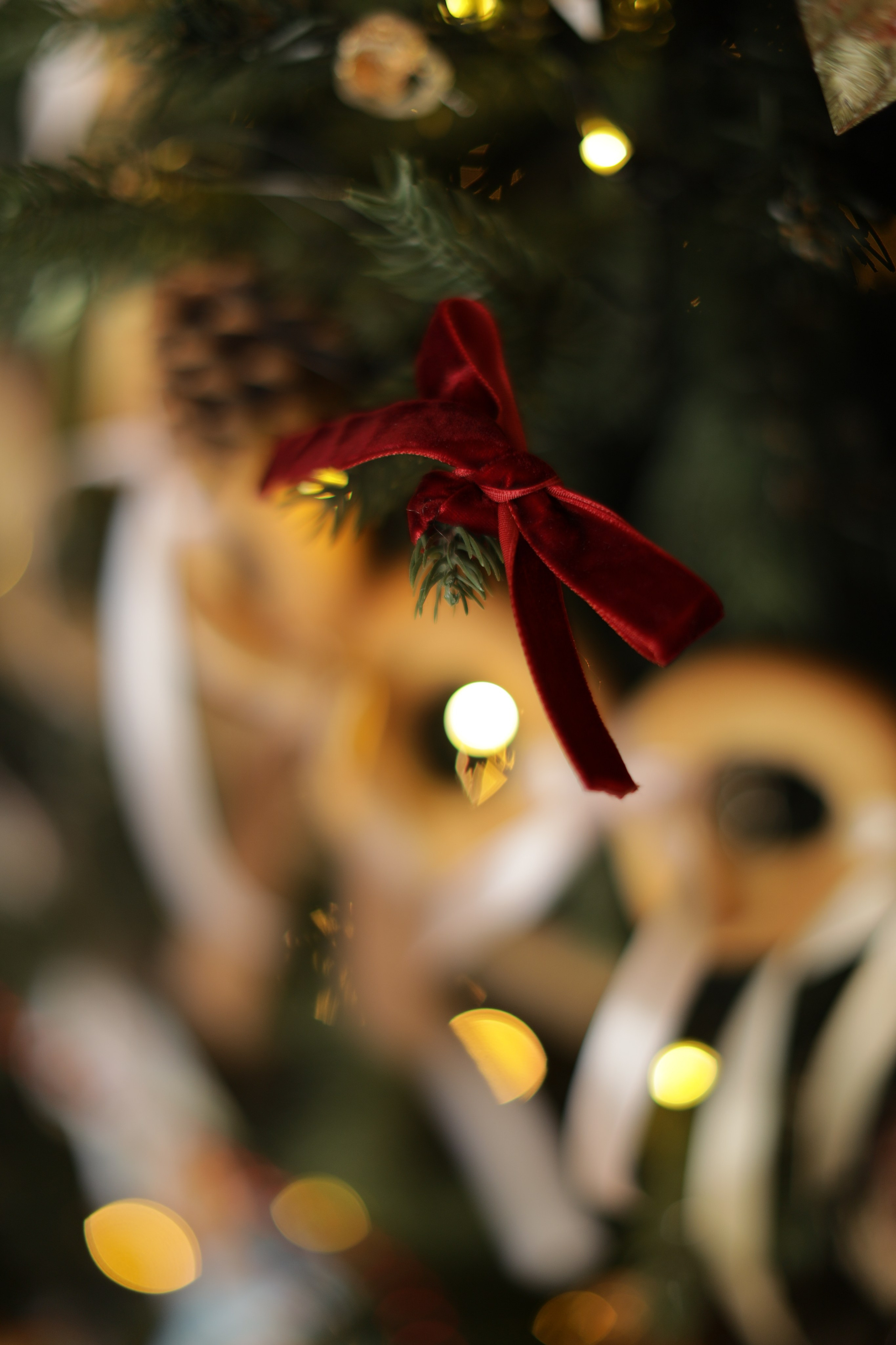 Фотостудия «Роял» зал Теплица. Свадебный фотограф в Ростове Александра Груздева