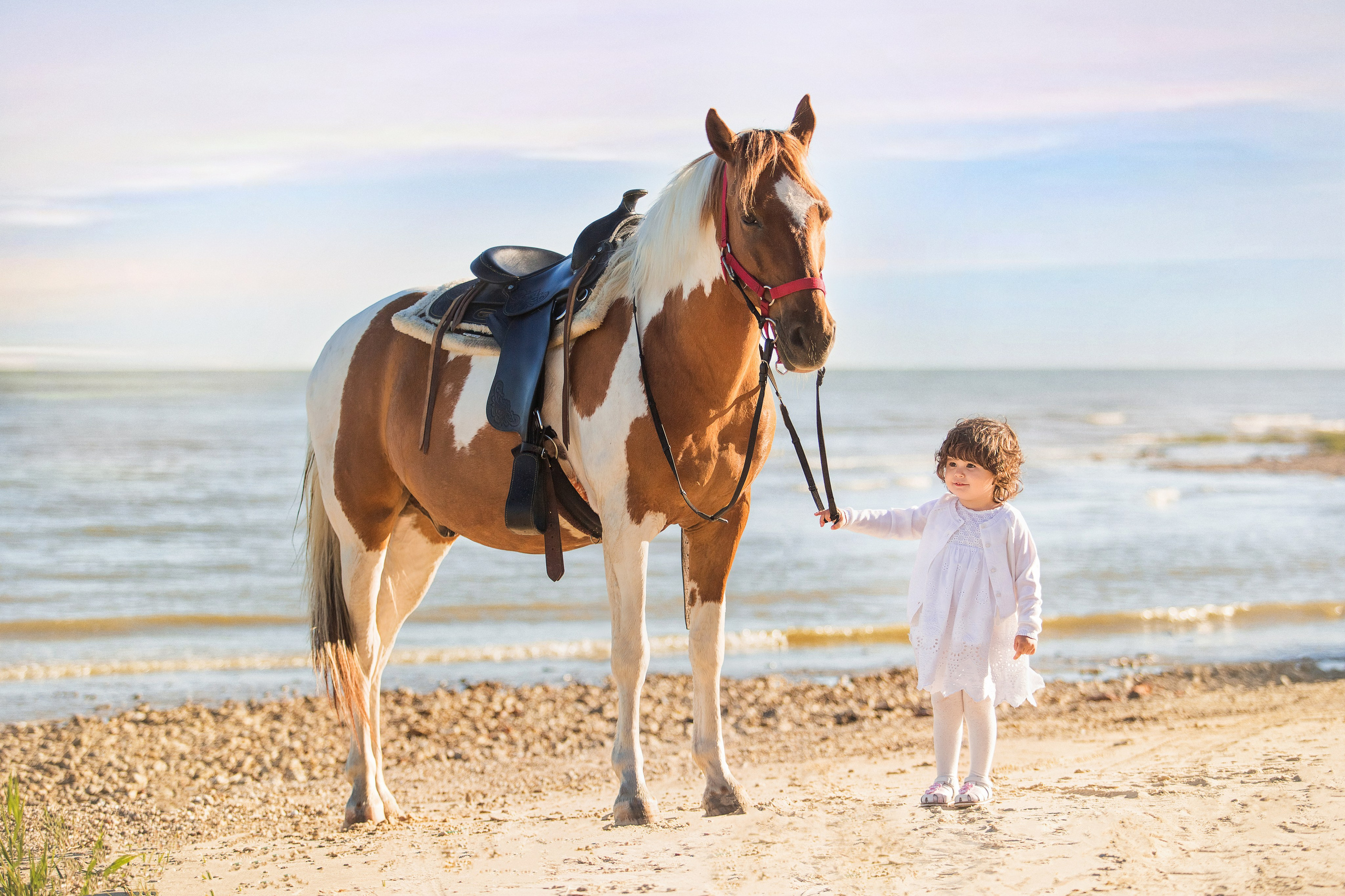 ПОРТФОЛИО. Профессиональный семейный и детский фотограф Наталья Мирошниченко