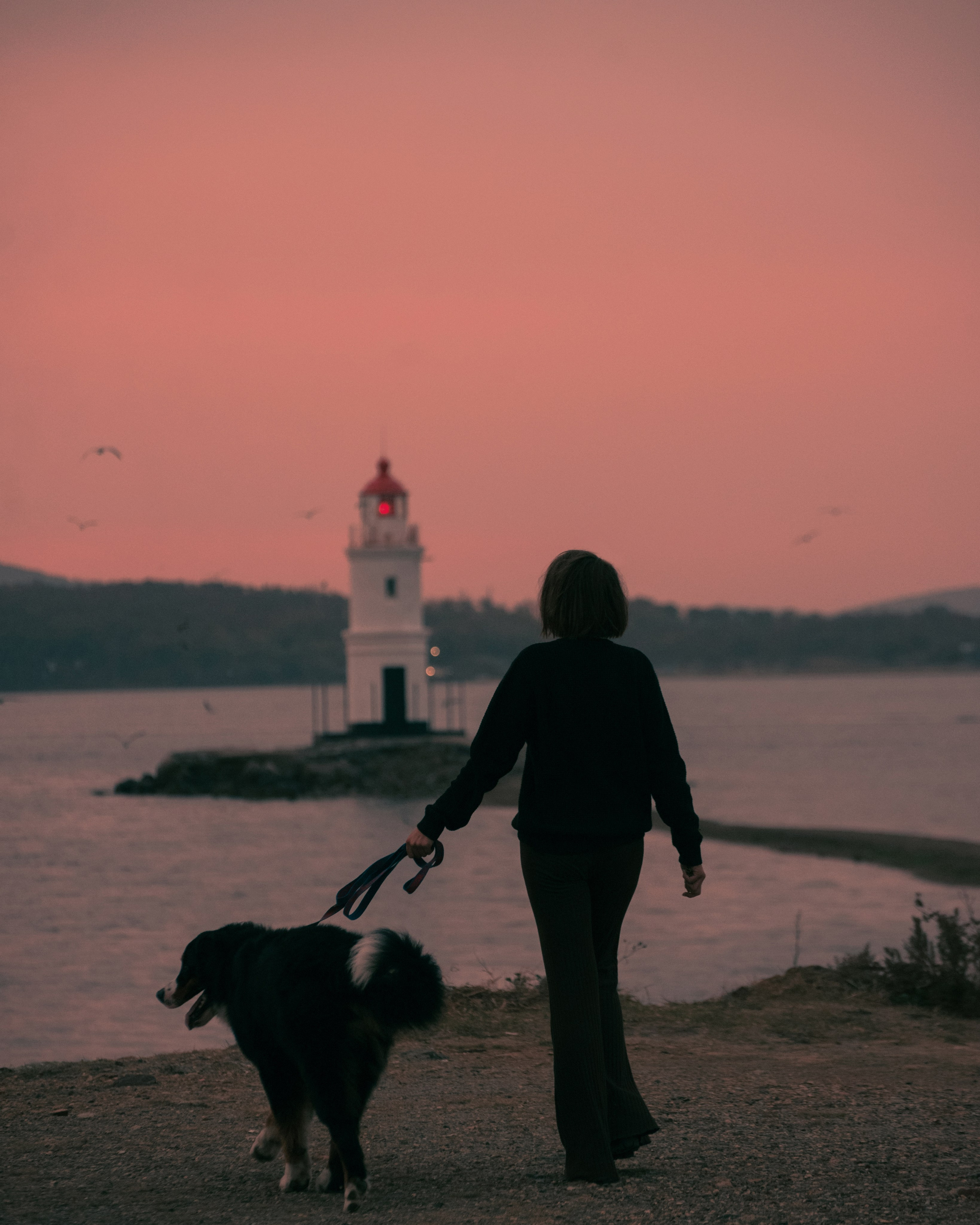 Владивосток: Марс и Маша. Портфолио