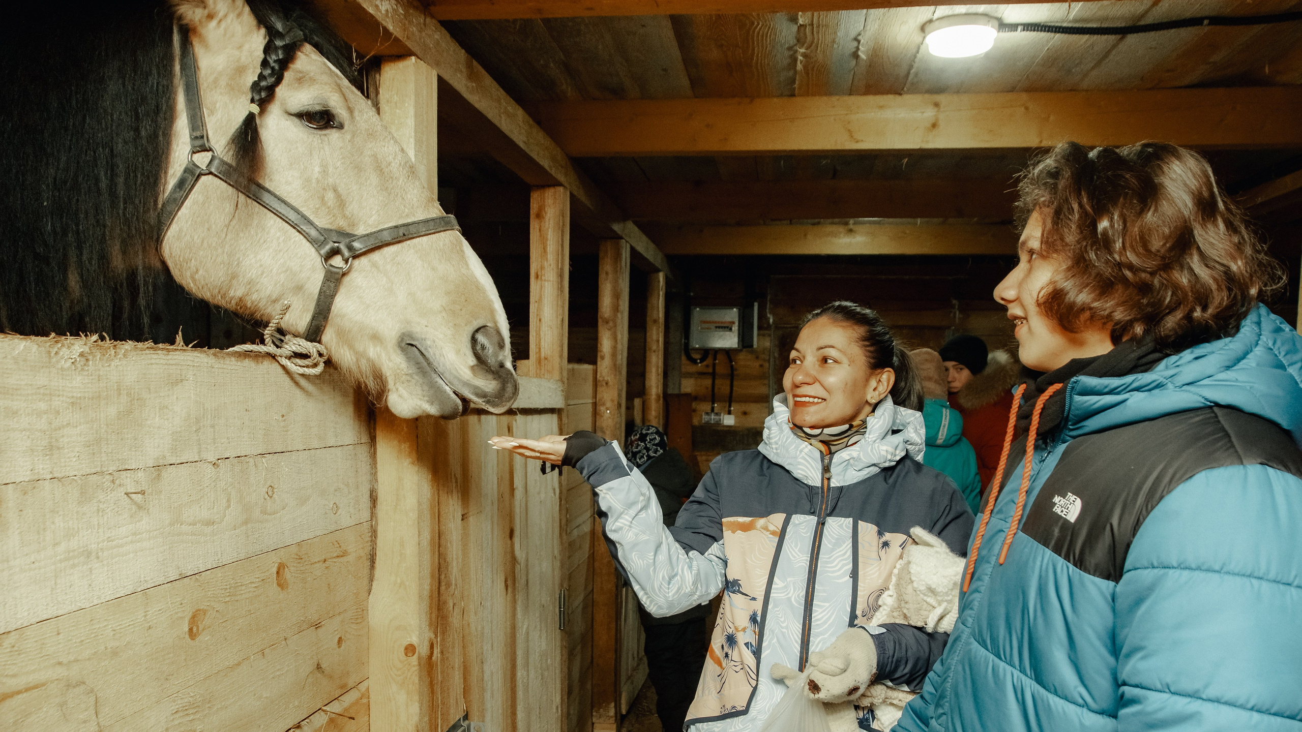 Миниферма в Теребочево. Свадебный и семейный фотограф в г. Волхов Алексей Кочерыжкин