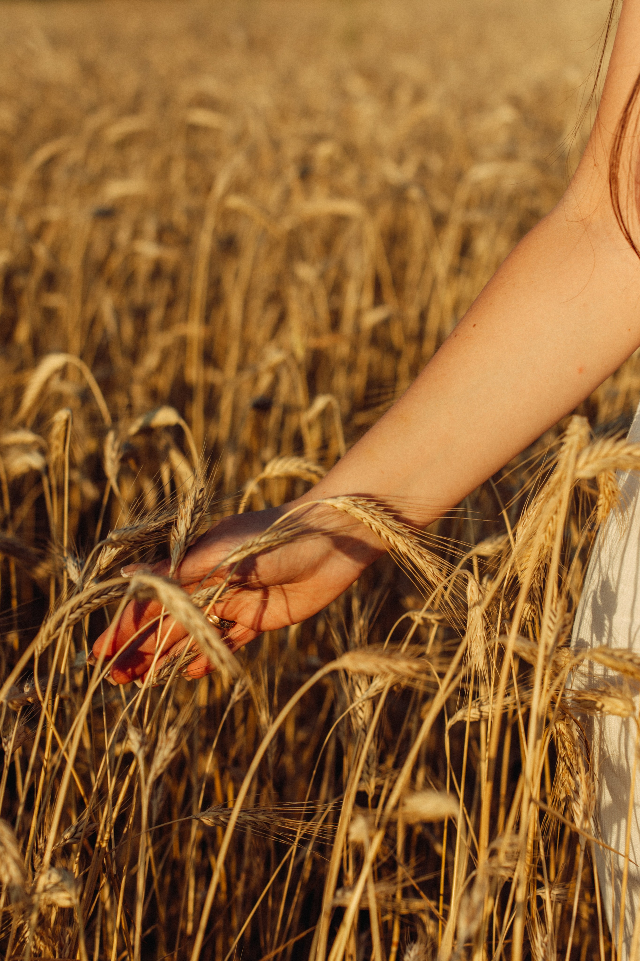 Анна Храмцова. Фотограф в Москве Ангелина Ким