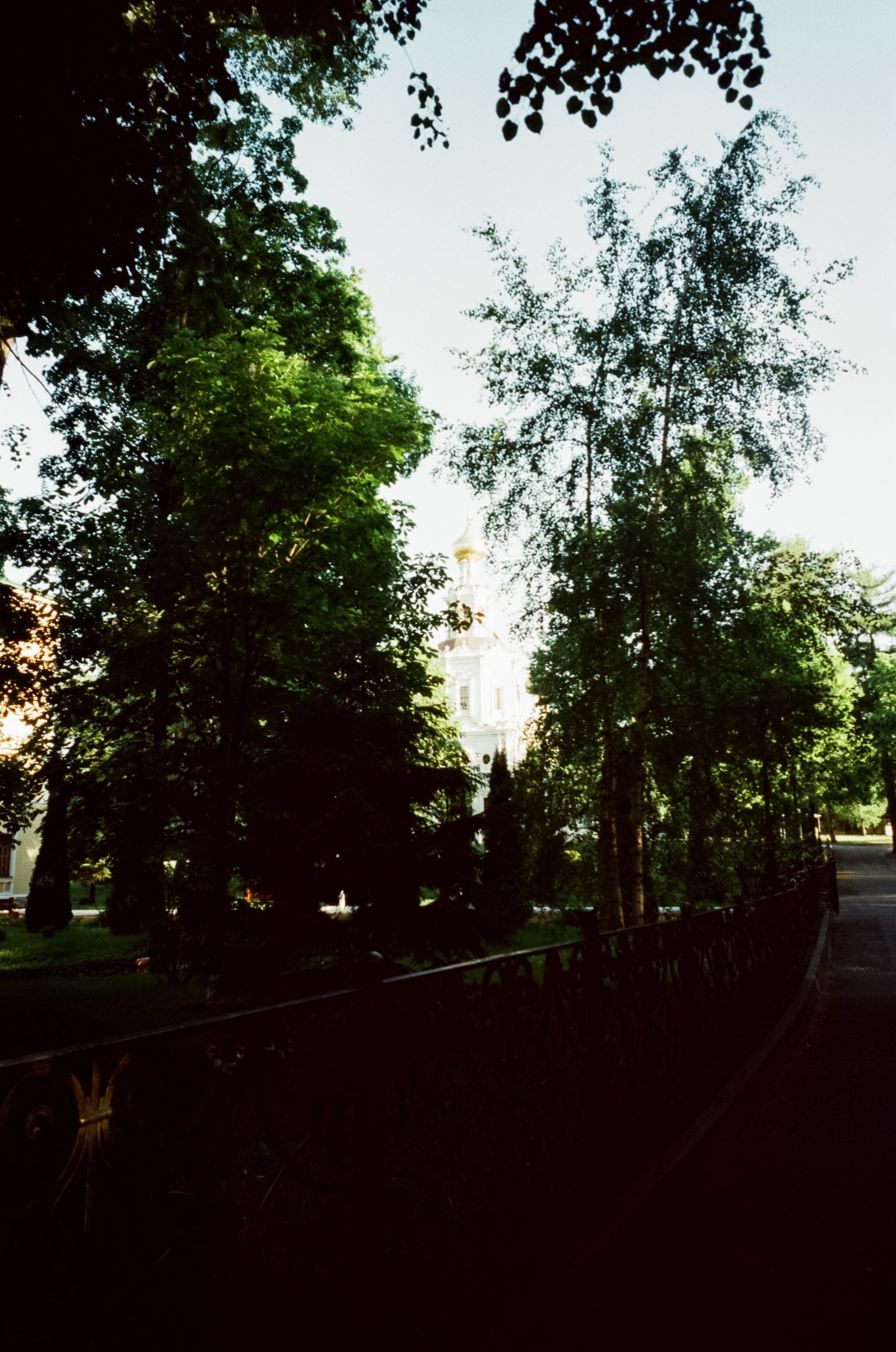 Ricoh GR10 / SFL 250D / Тестовая пленка у речки в Строгино