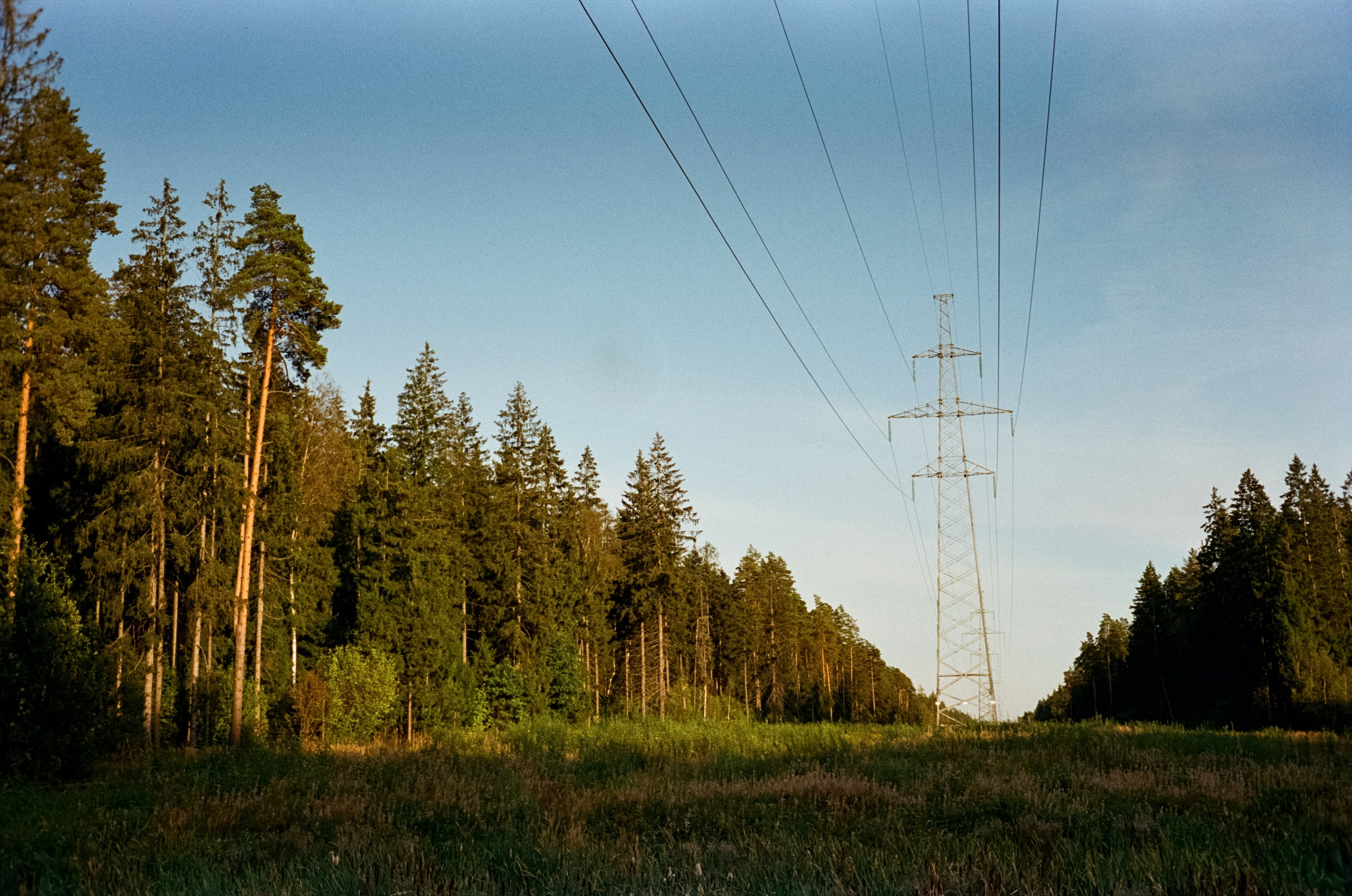 Minolta Hi-Matic 7SII примеры фотографий