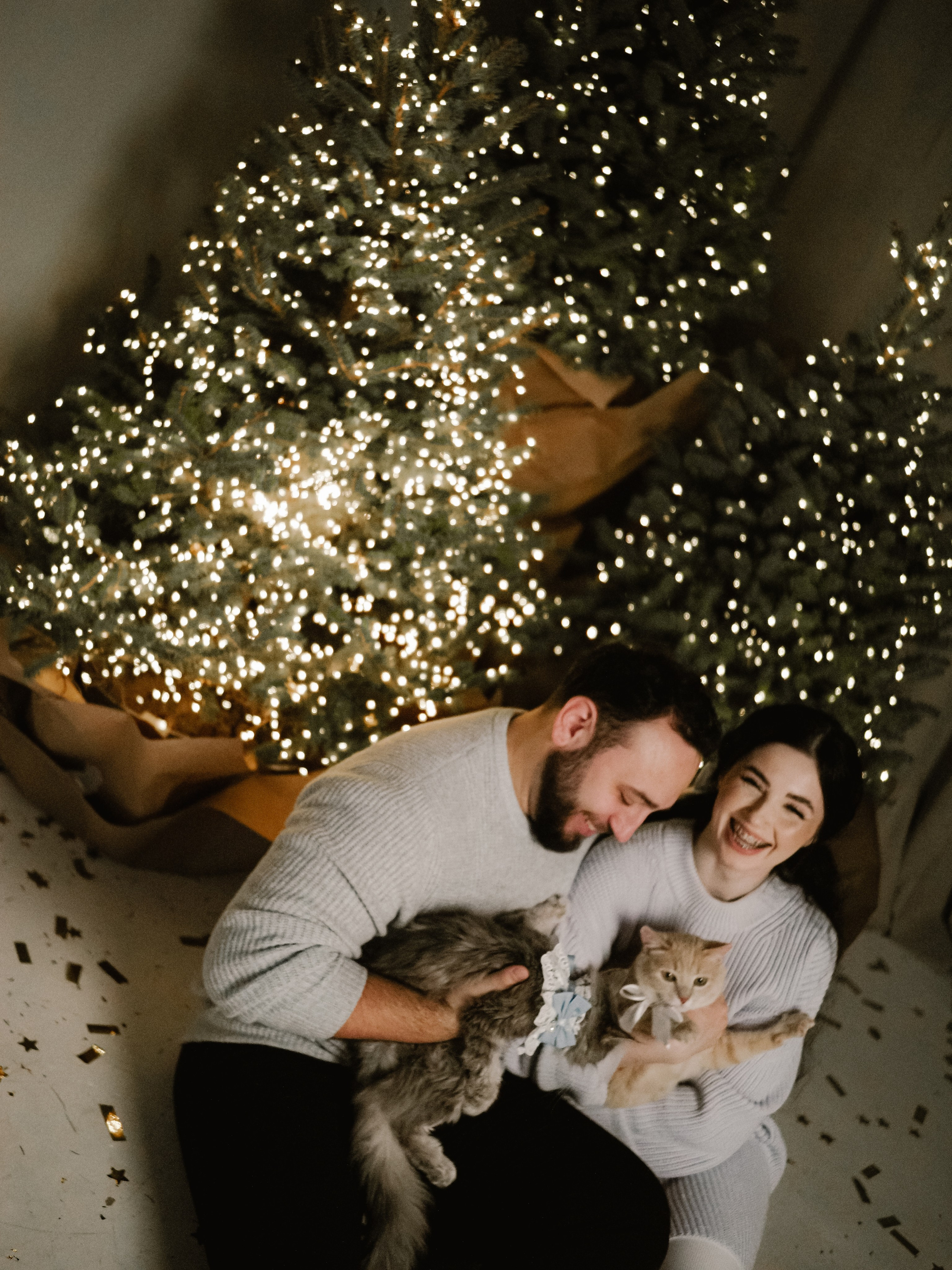 Mrrrr christmas. Фотограф Рязань. Семейный Свадебный фотограф