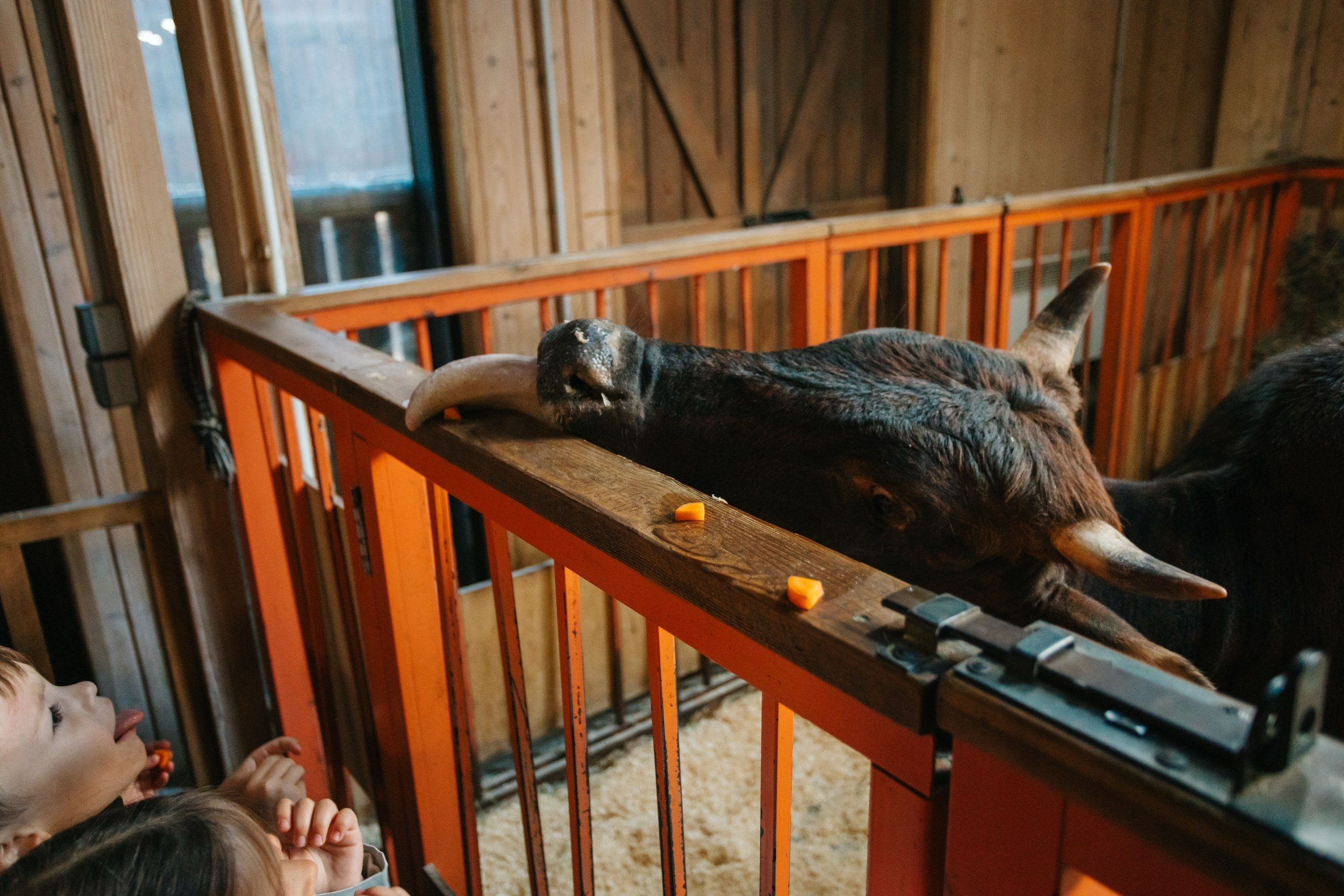 День рождения Марка. Андрей Партнов — фотогрраф, Москва