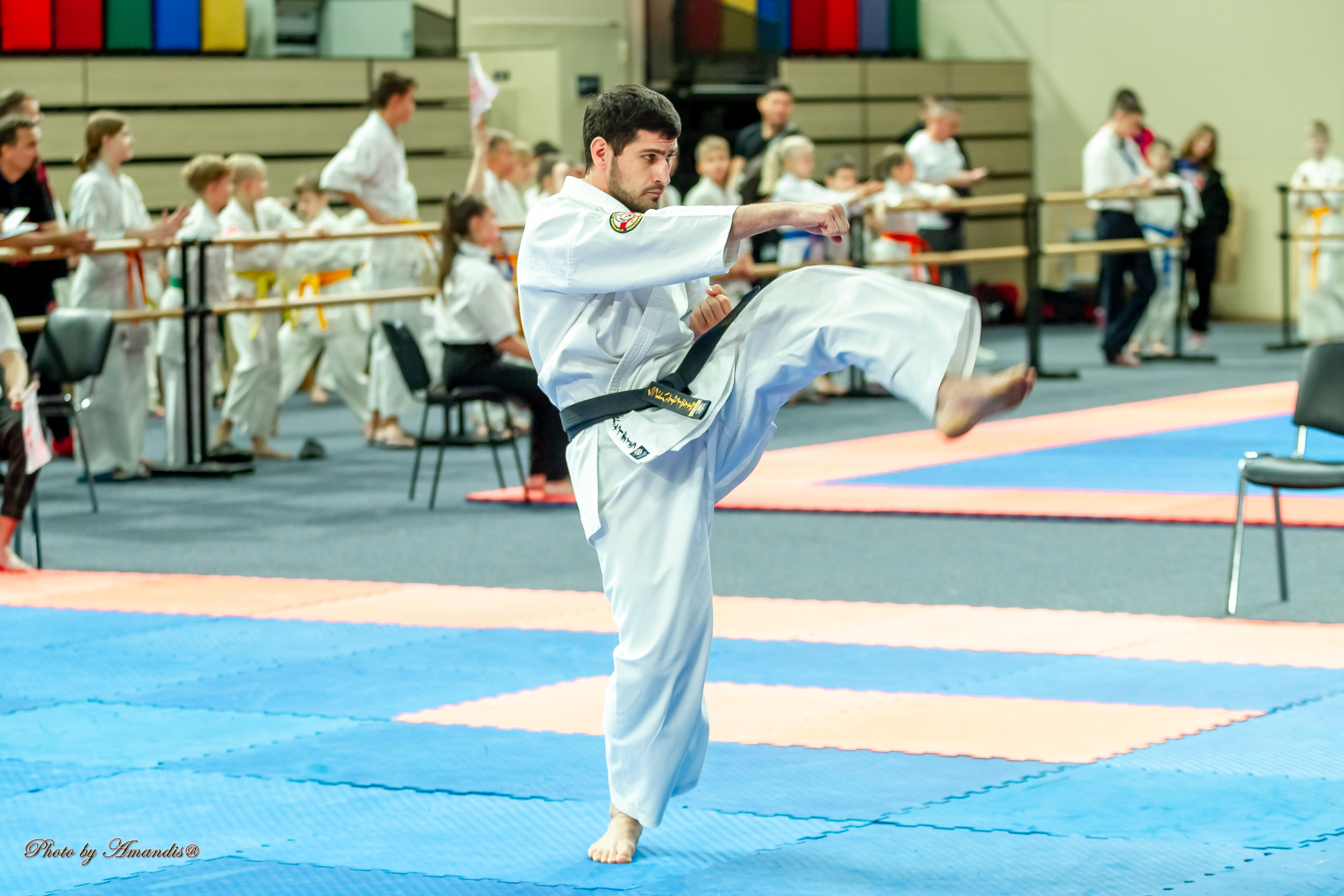 Первенство Московской области по Киокушин в СК «Жаворонки». Репортажная съемка в Москве и области. Анималистика