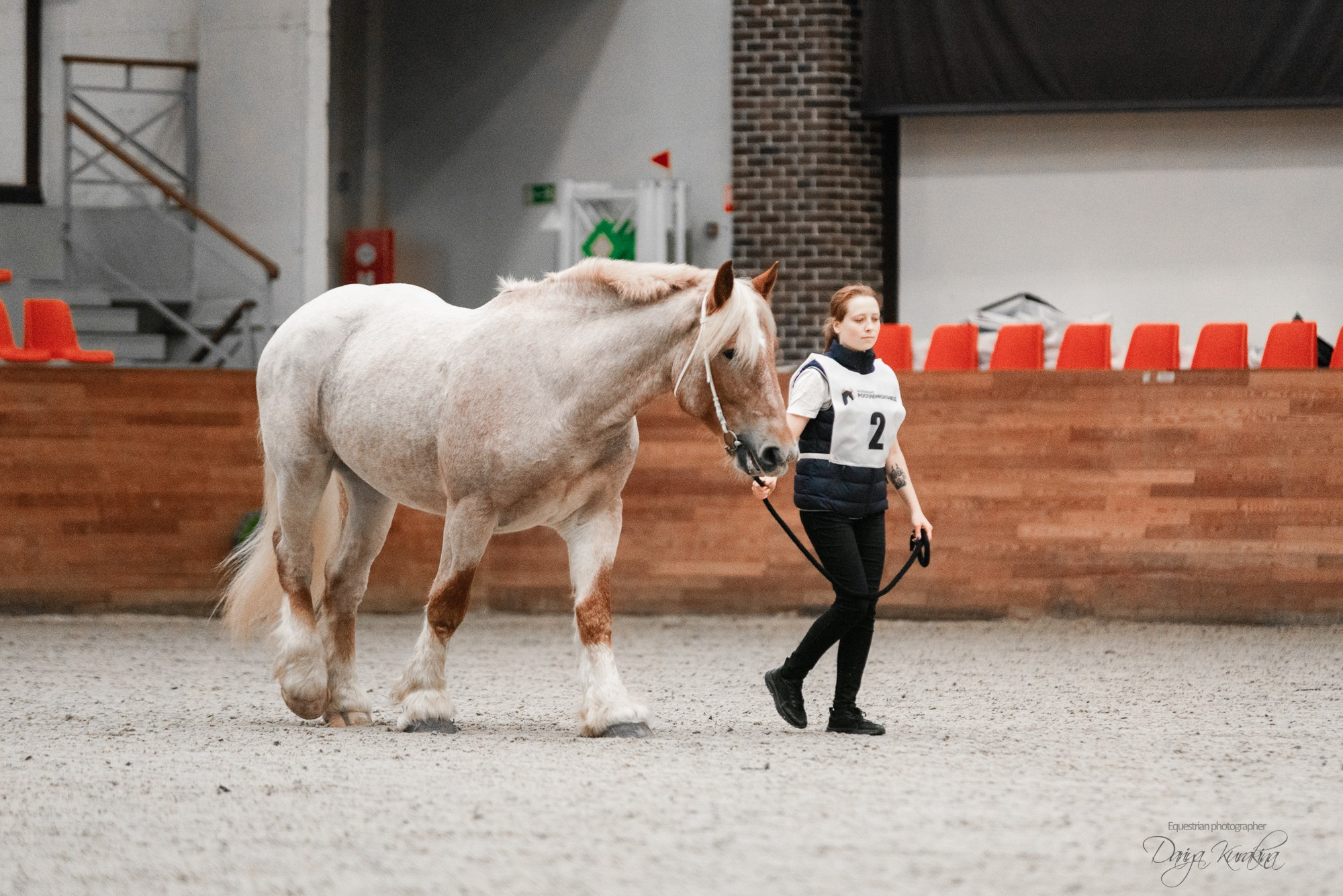 8-я международная выставка Конная Россия. Конный фотограф Куракина Дарья • Фотосессии с лошадьми