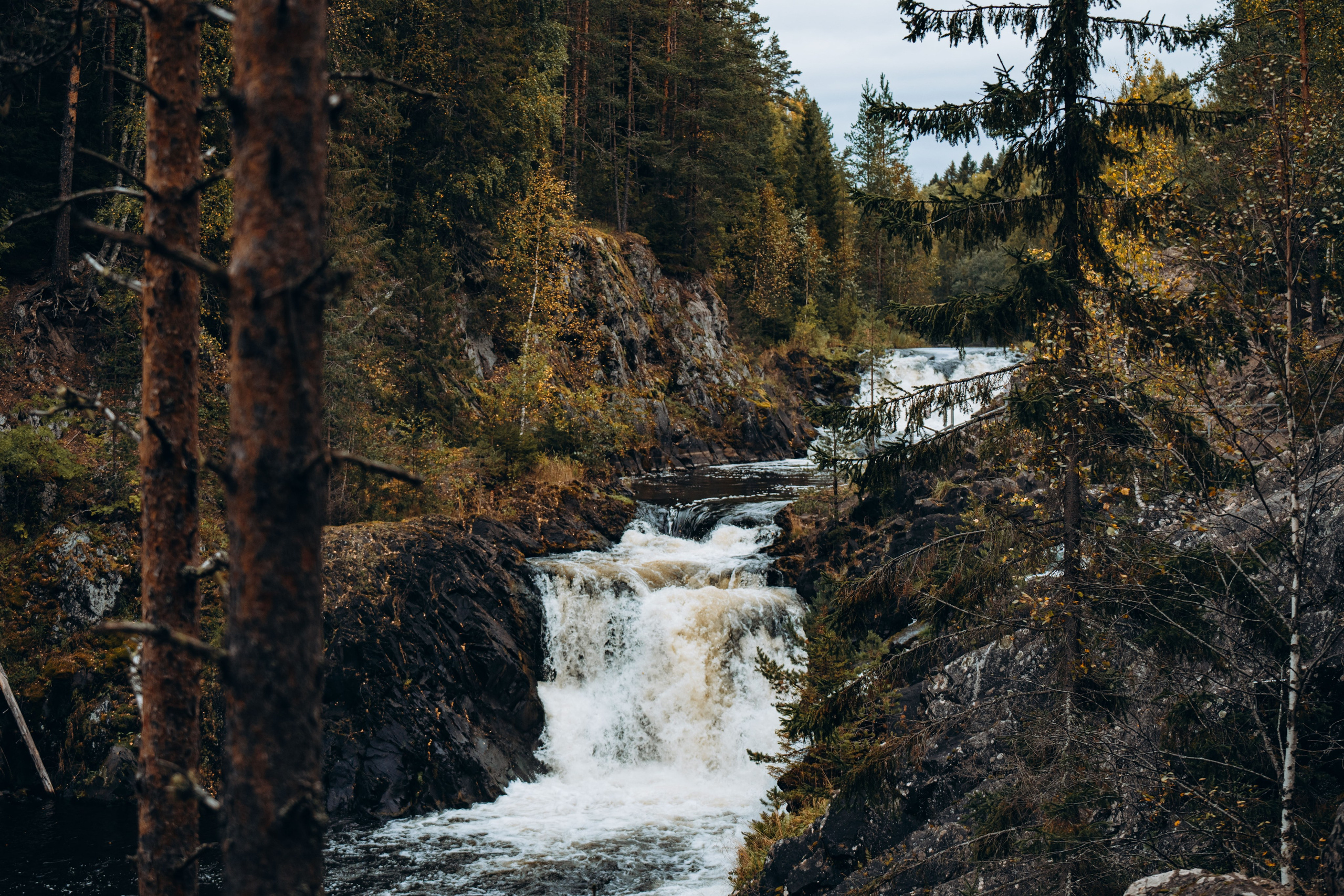 СЕВЕР. Event фотограф Степанова Александра