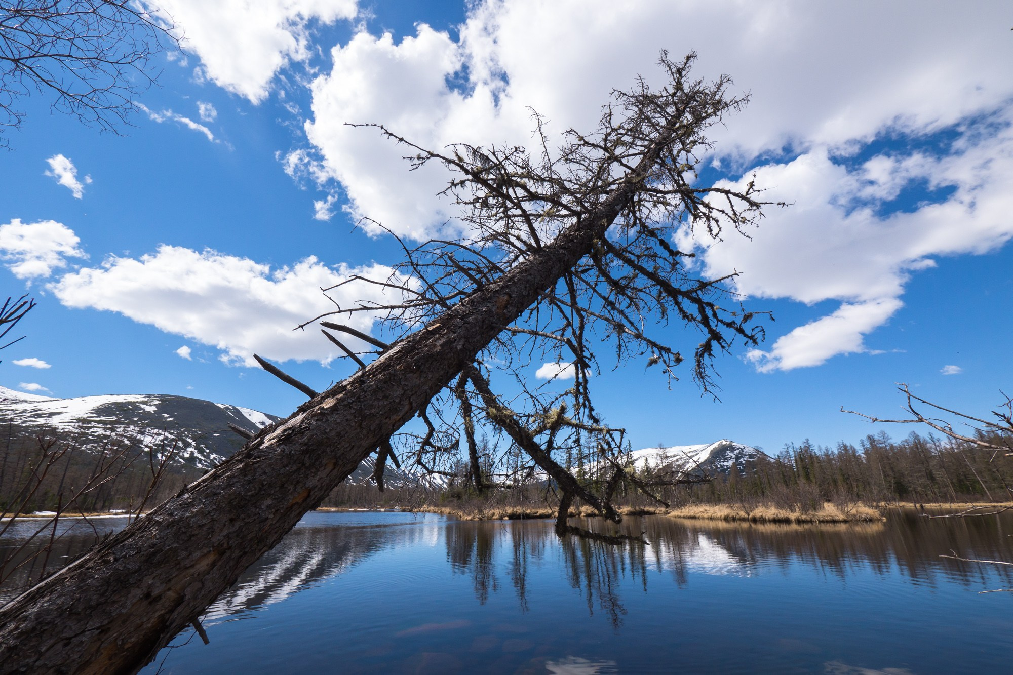 Якутия. Фотограф Алексей Скоробогатько