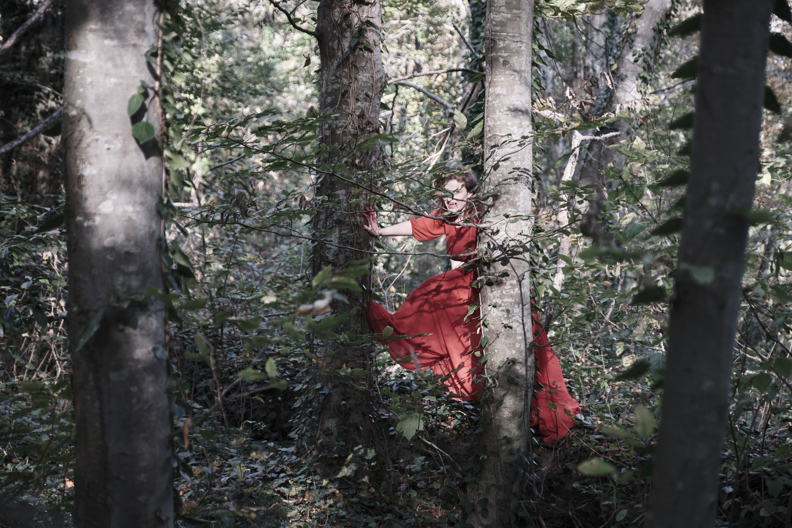 Фотосессия лесная жажда. IS — Игорь Сержант | Фотография и рисунок