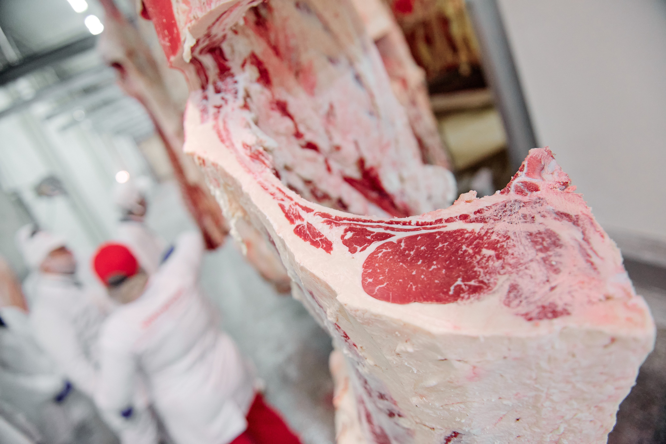 Фотограф на мероприятие. Light Media — креативный видеопродакшн