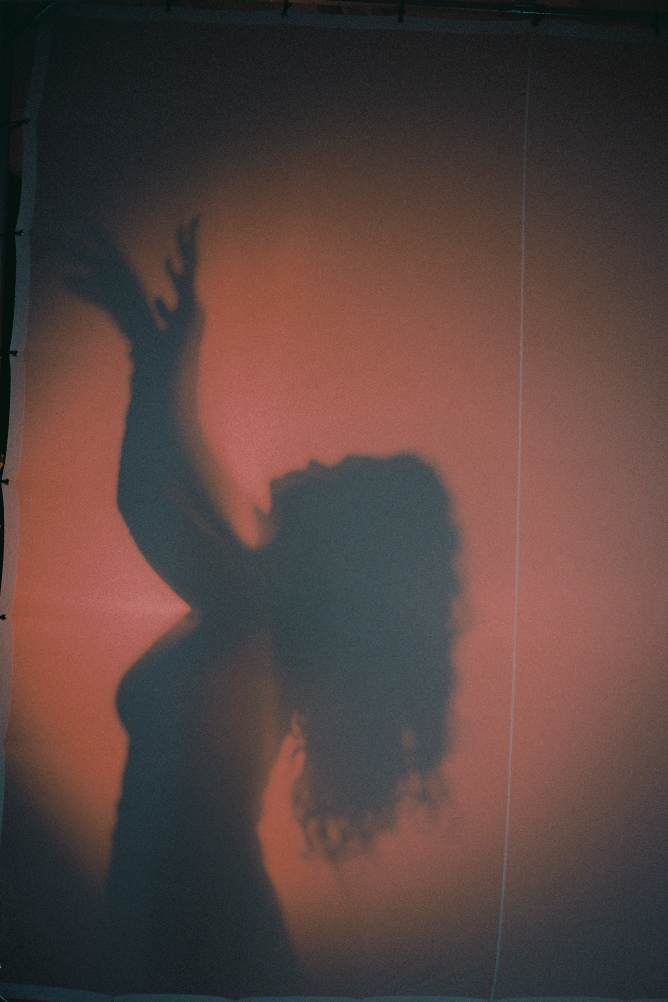 FILM WITH PEOPLE. Сocoobird || Атмосфера твоего бренда в снимках и видео