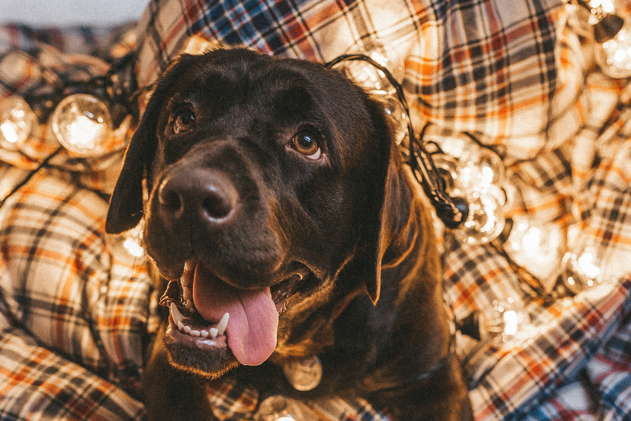 Family home story. Портретный фотограф Николаева Анна