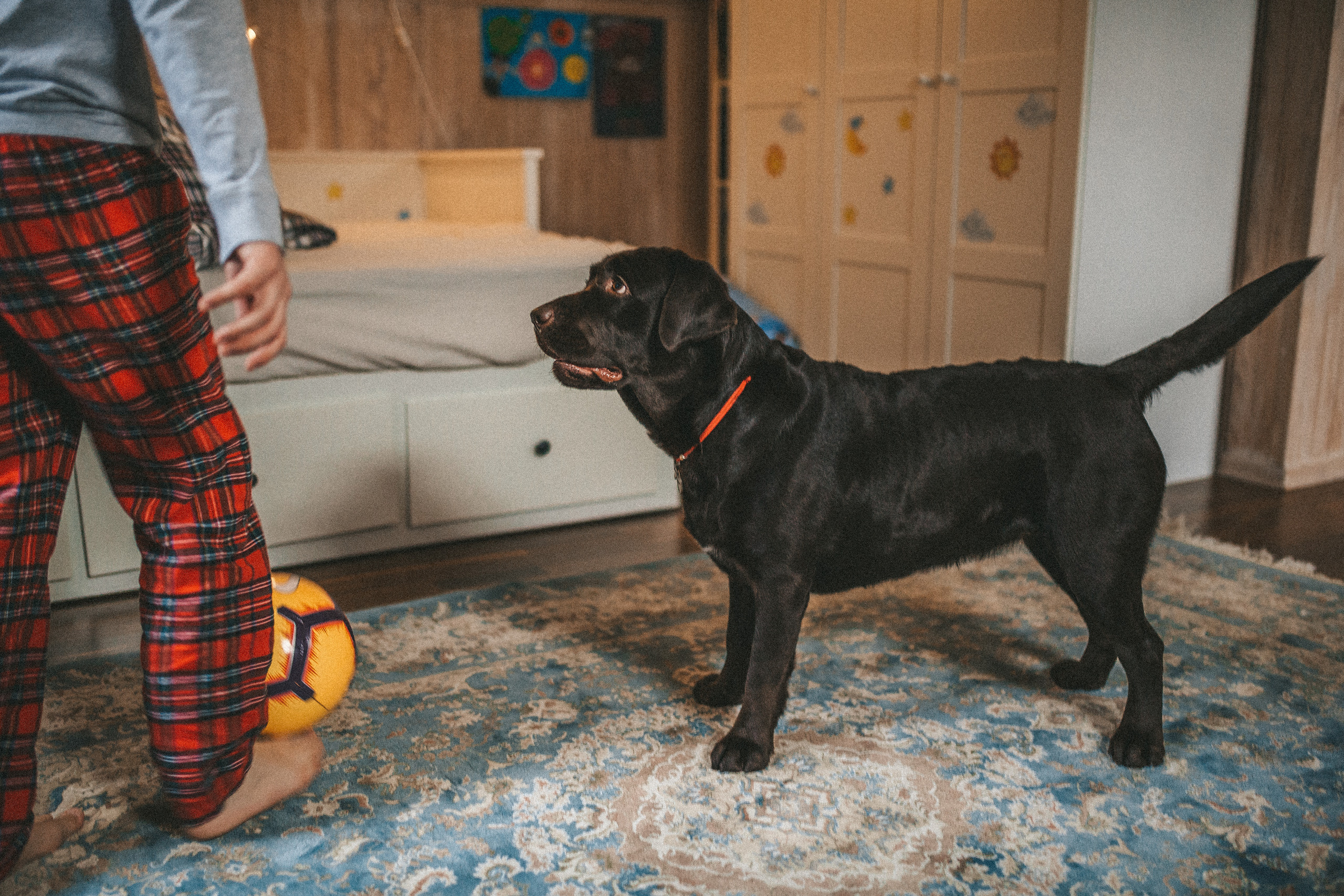 Family home story. Портретный фотограф Николаева Анна