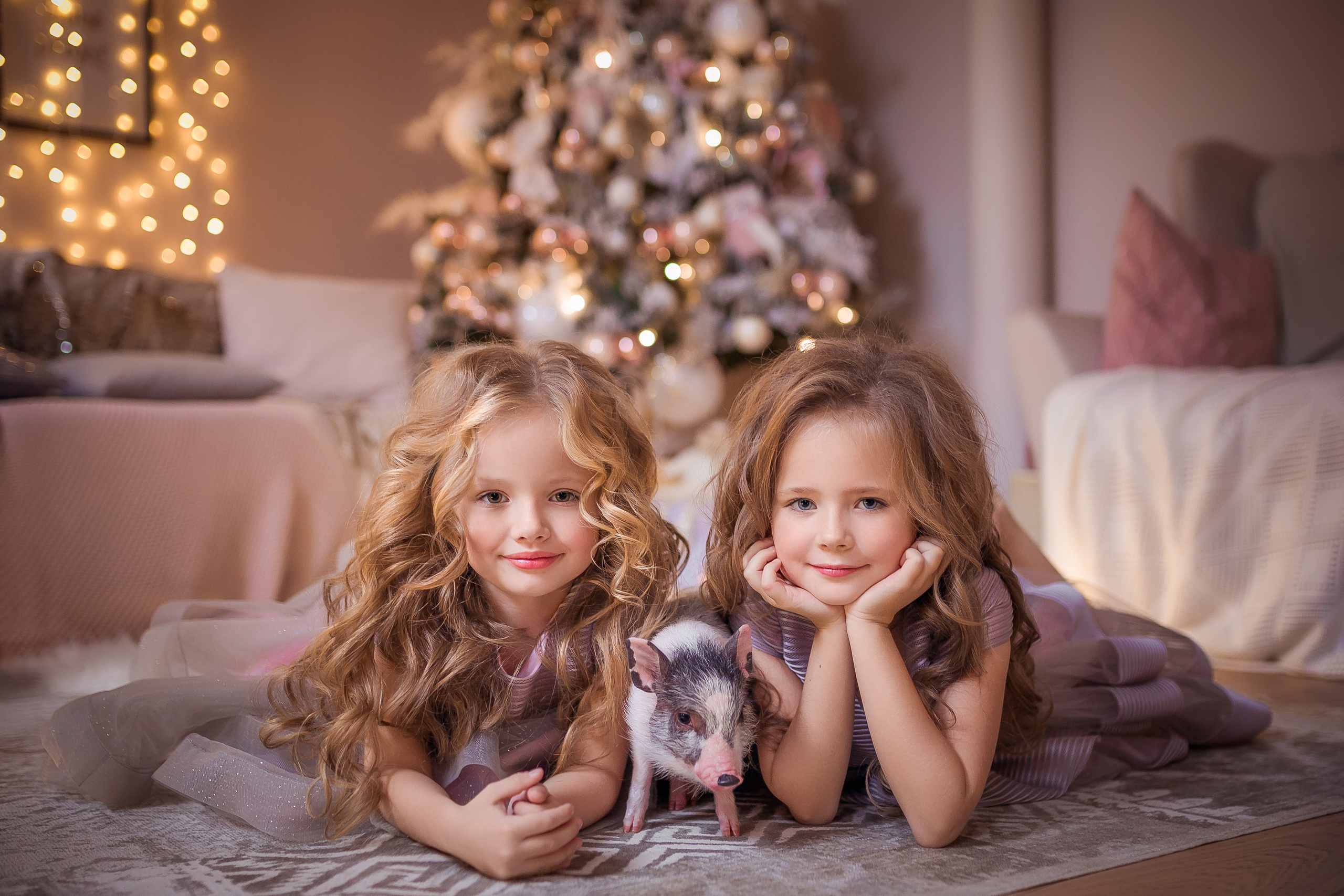 New year story. Портретный фотограф Николаева Анна