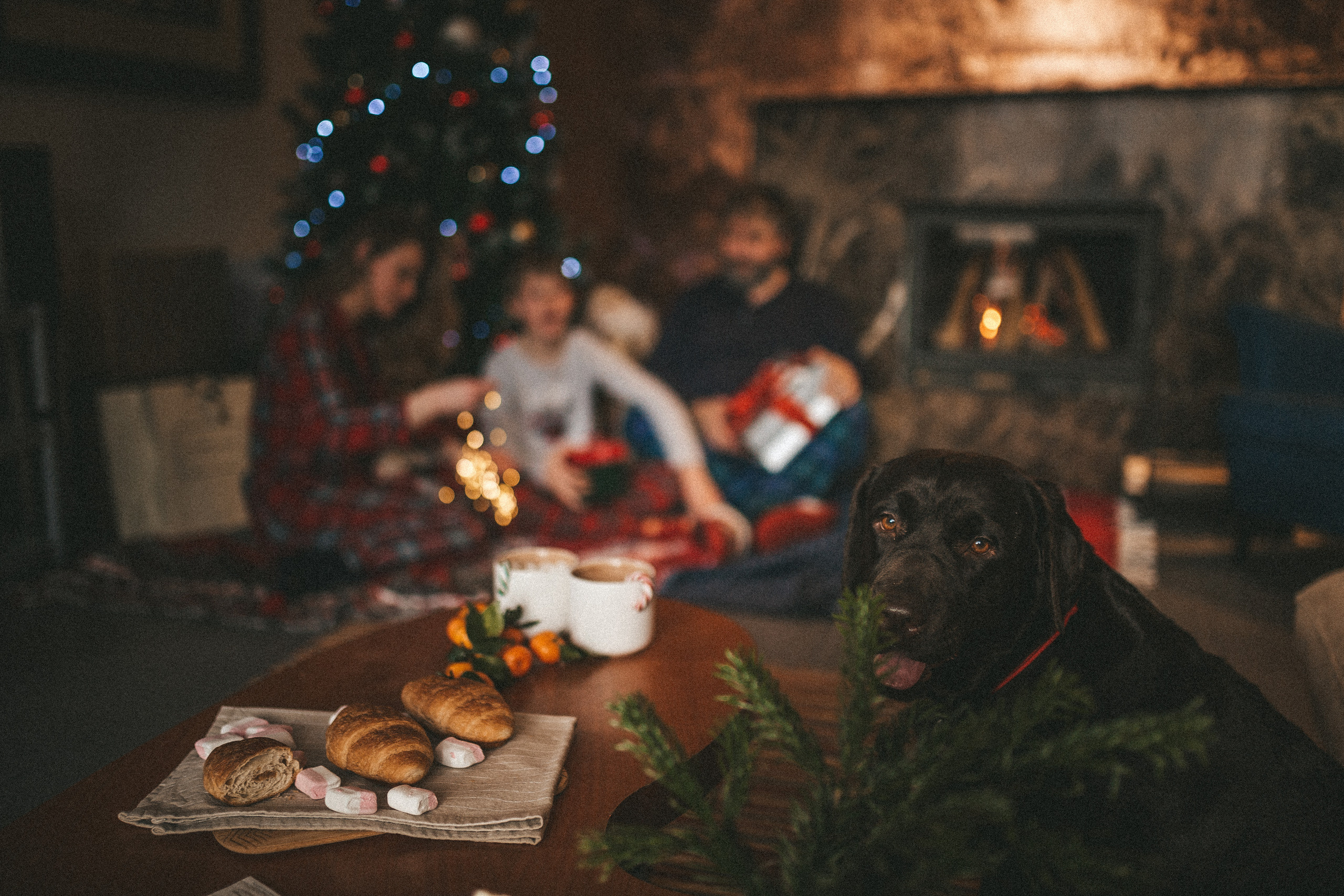 Рождественская семейная история. Портретный фотограф Николаева Анна