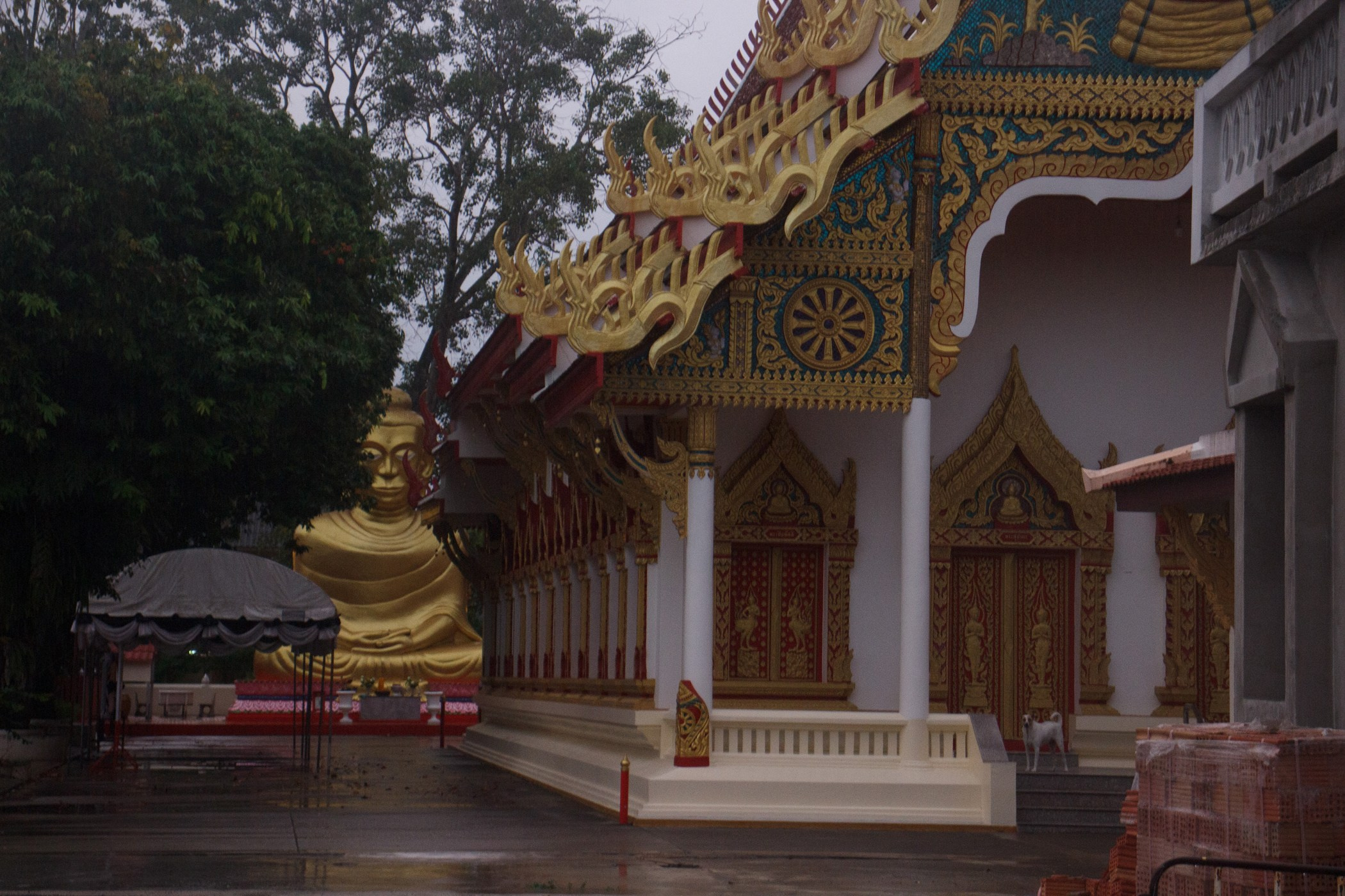 Сураттхани. Photographer in Phuket