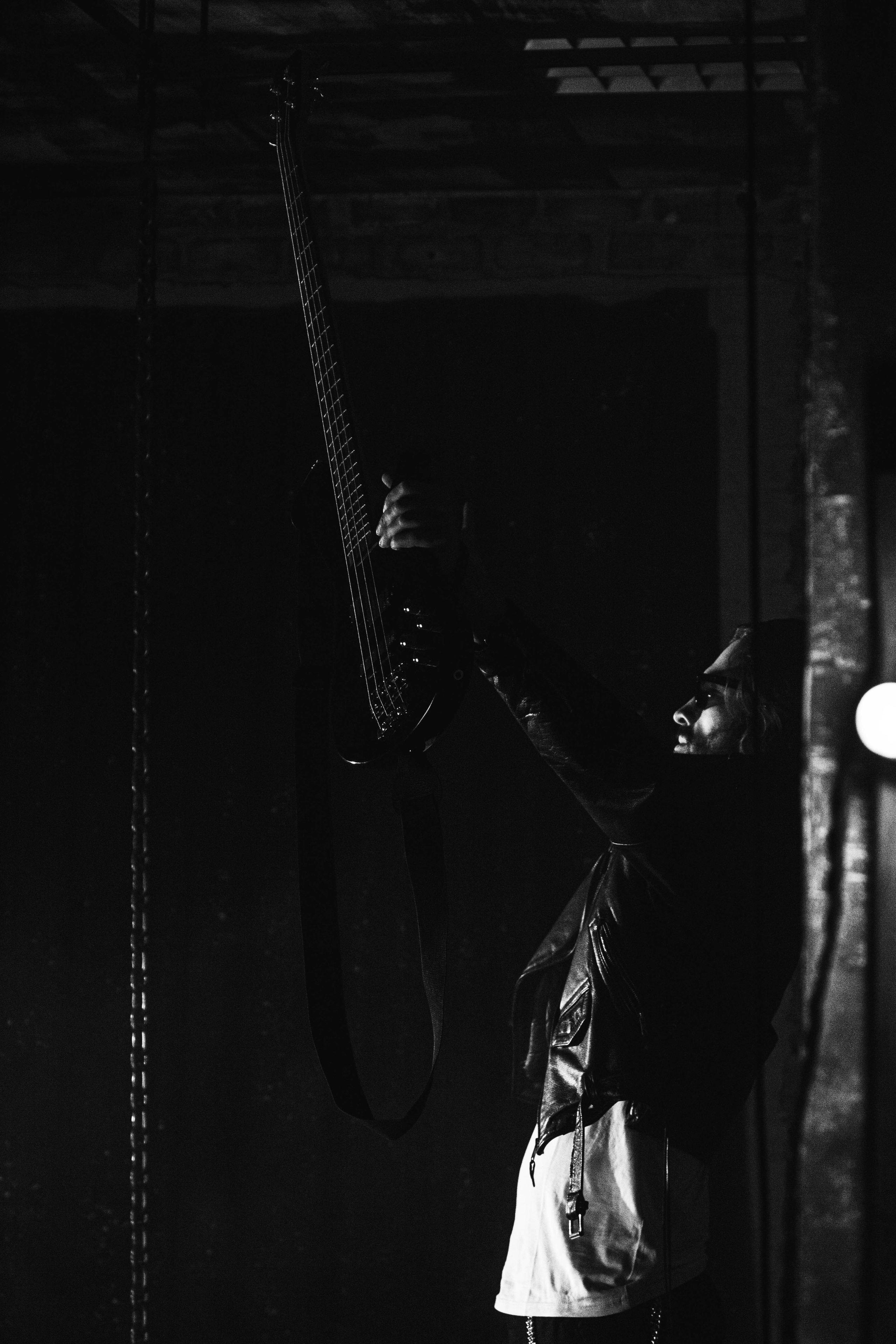 Art-съёмка. Фотограф анималист — Тула, Москва