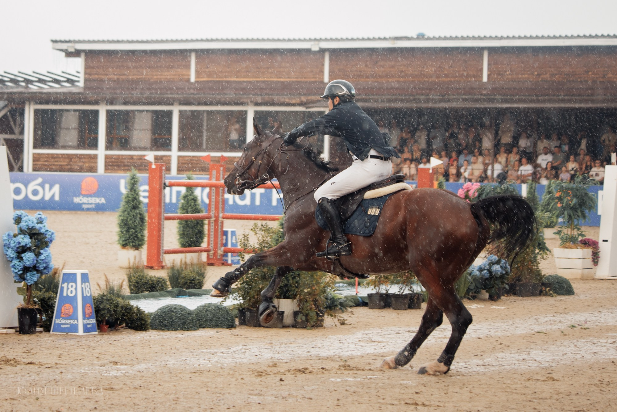 Дерби. Horseka 2024. Детская Конная фотография в Москве Юлия Шепелева