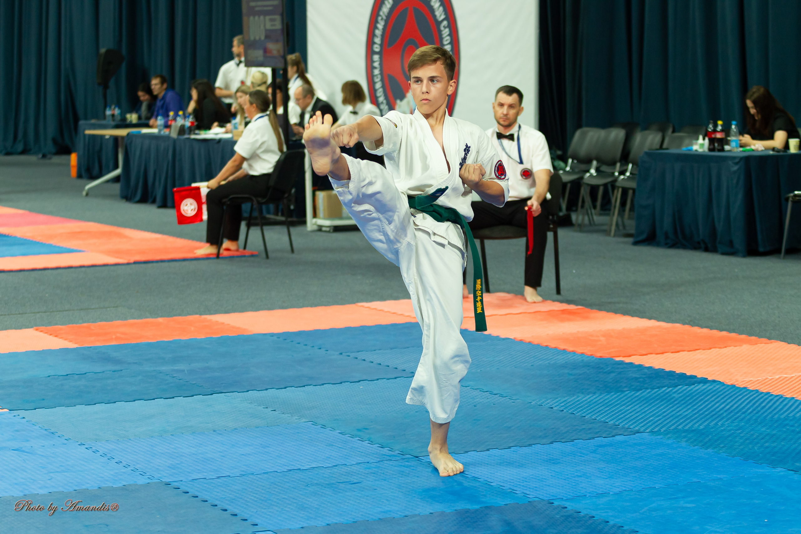 Первенство Московской области по Киокушин в СК «Жаворонки». Репортажная съемка в Москве и области. Анималистика