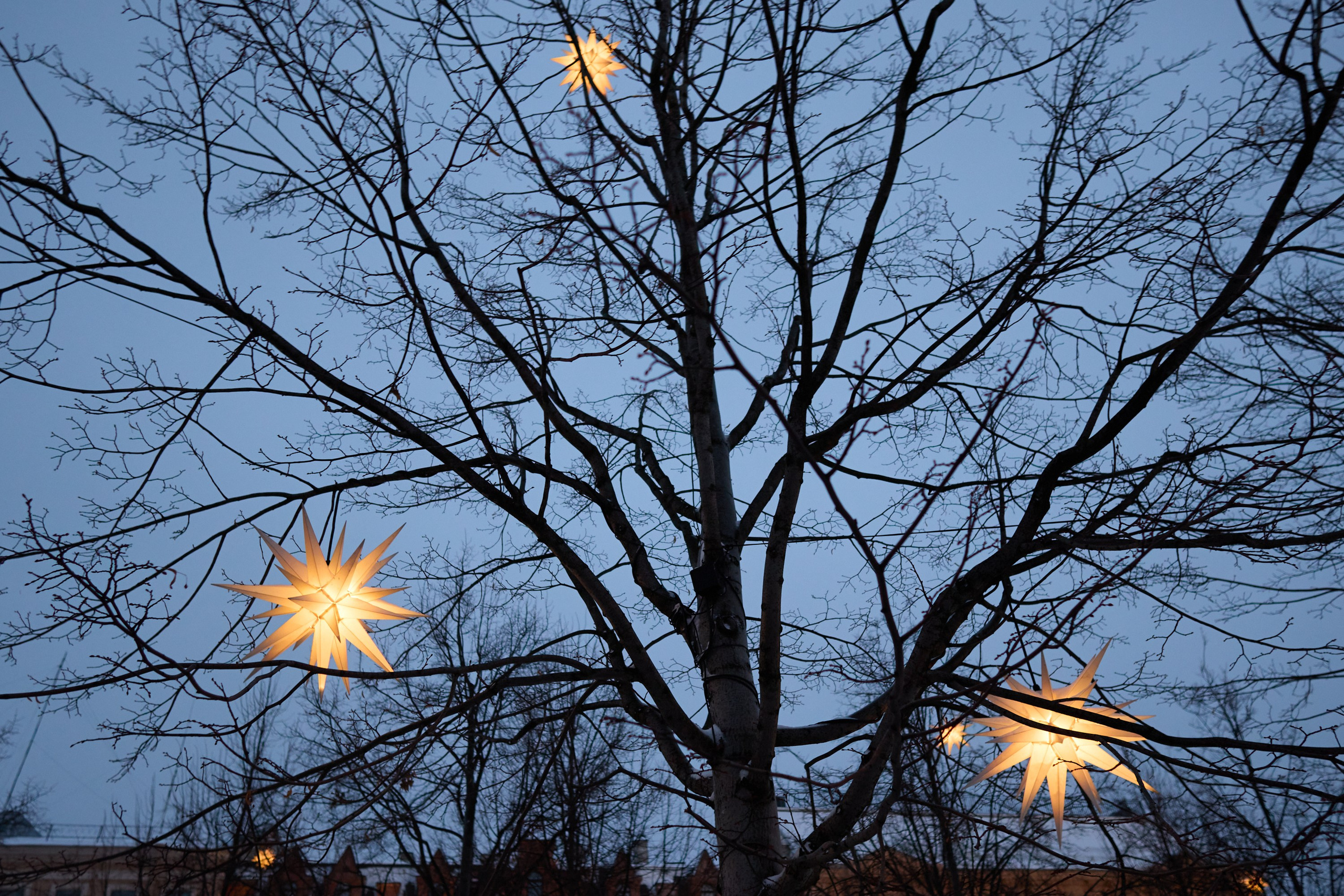 Рождество въ Санктъ-Петербургѣ. Фотографъ Сергѣевъ. Поймать мгновеніе