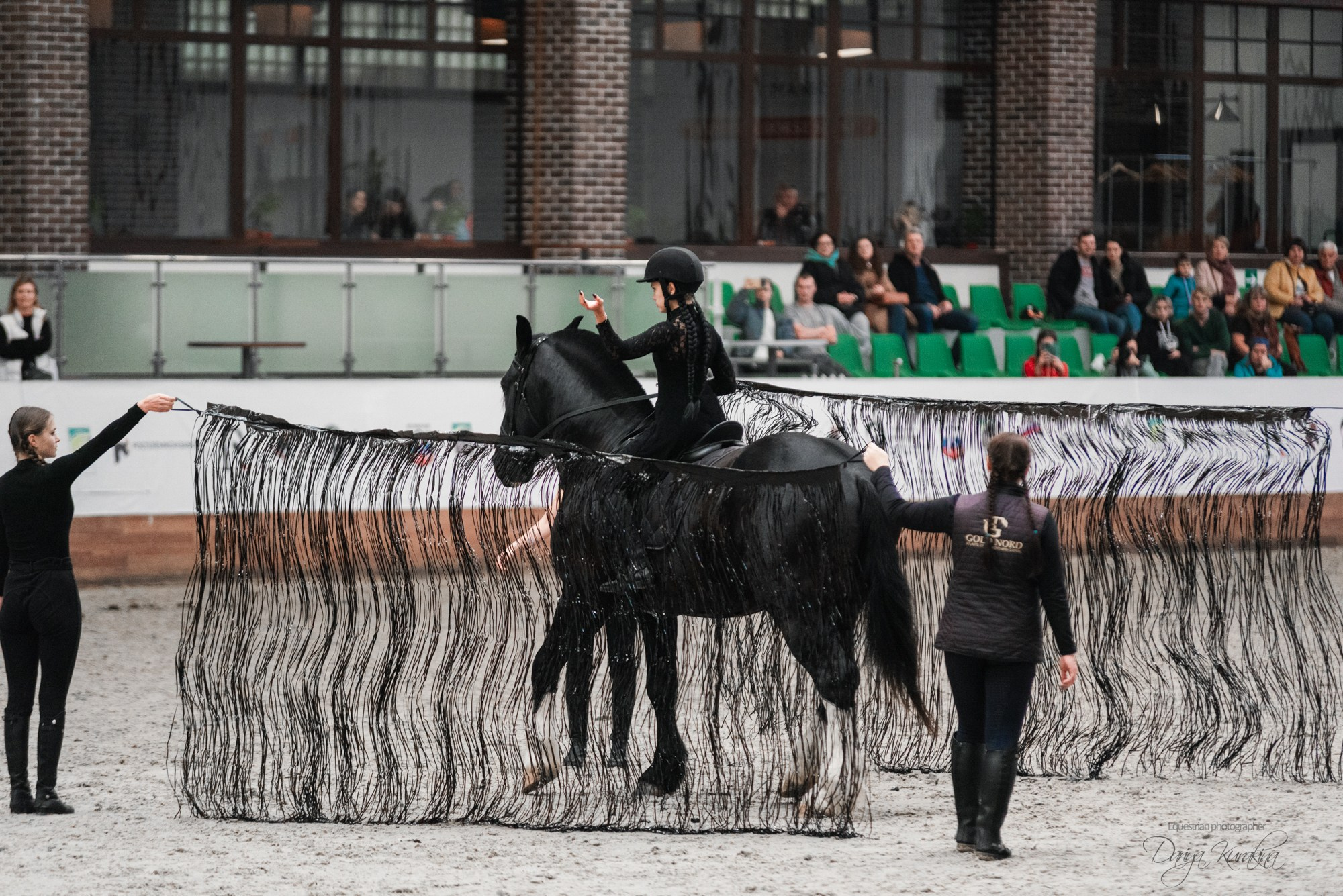 8-я международная выставка Конная Россия. Конный фотограф Куракина Дарья • Фотосессии с лошадьми