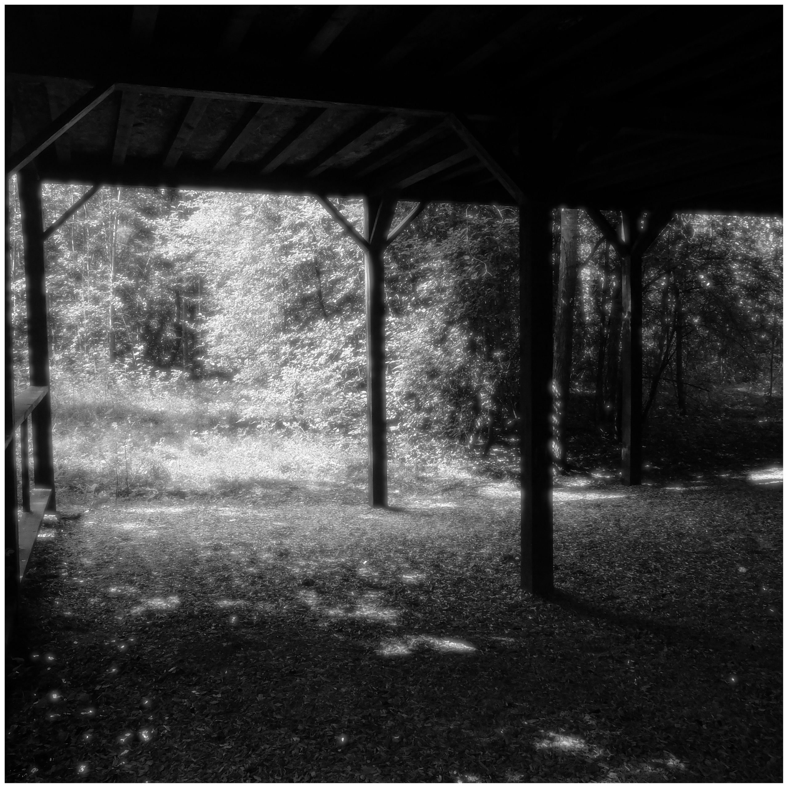 Внутривенные сны (2018-2023)