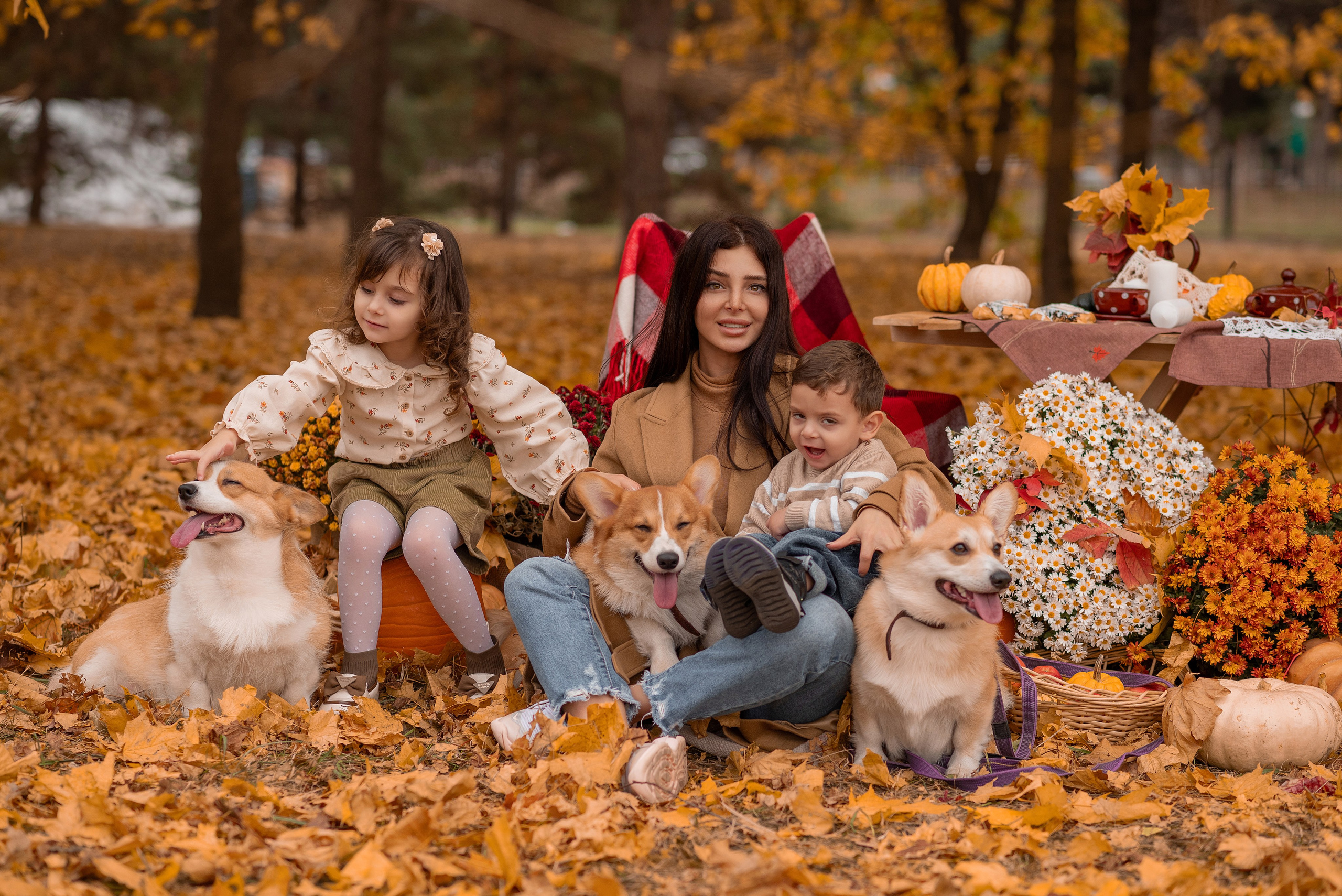 Осенний фотодень. Семейный фотограф в Краснодаре