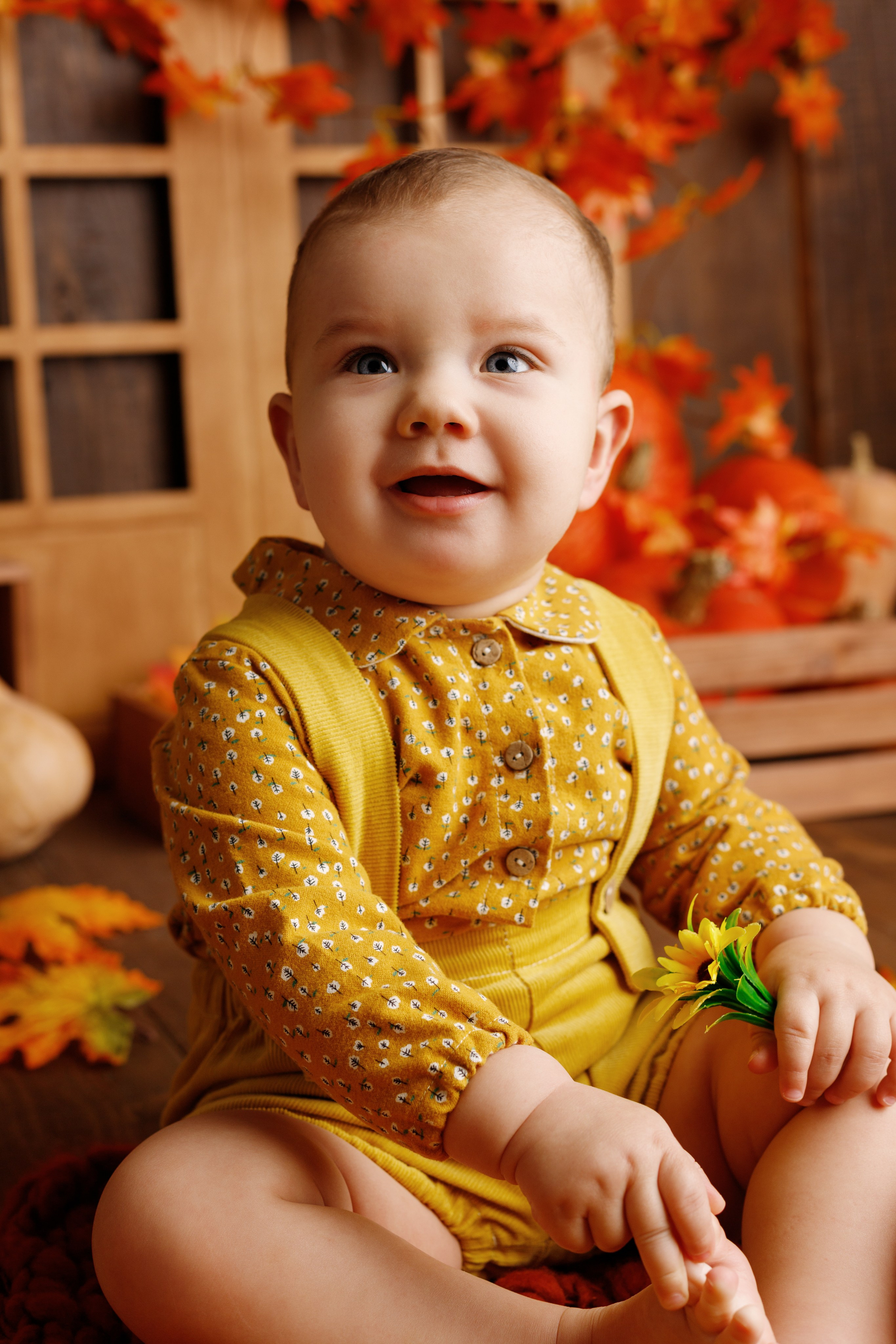 Осенний фотопроект. Фотограф новорожденных, детский фотограф в г. Оренбурге Екатерина Козлова