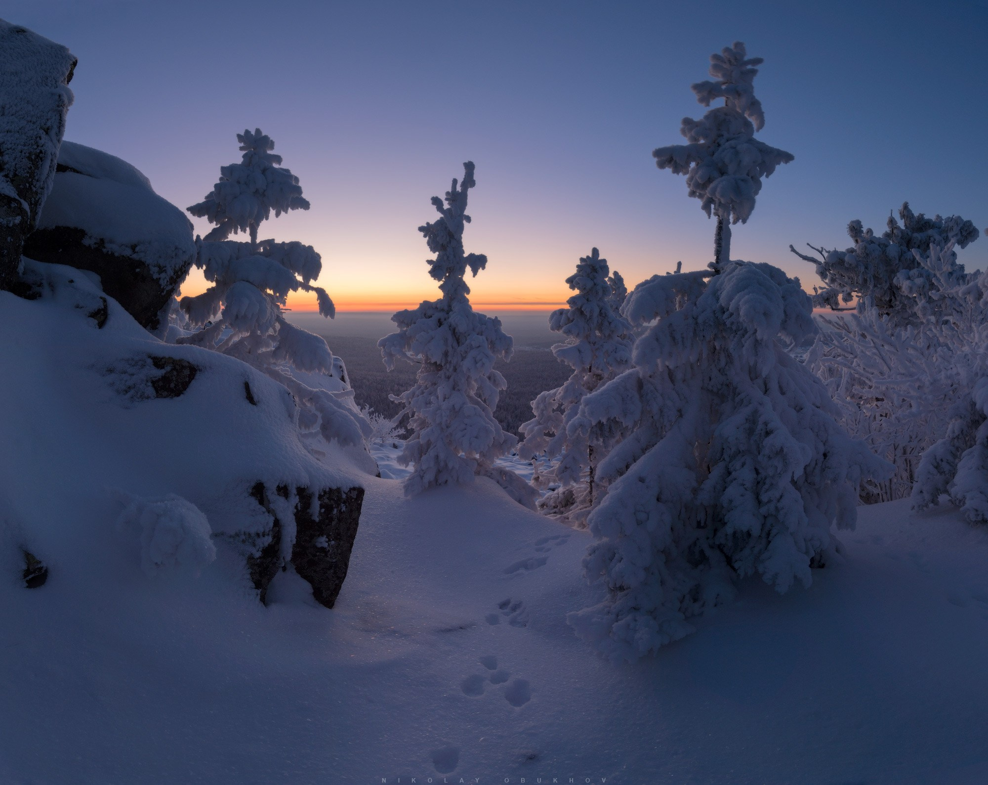 Заснеженные ели зимнего леса под Нижним Тагилом словно вырезаны изо льда.