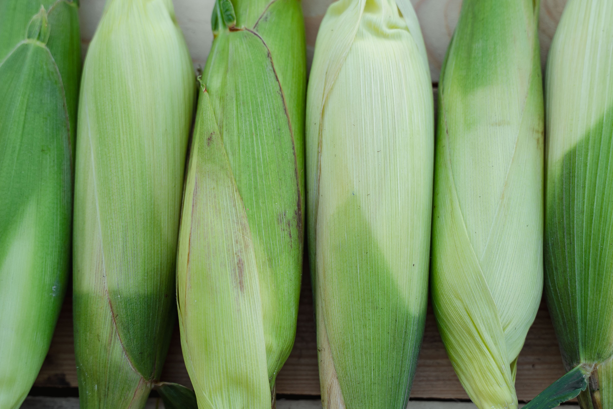 Коммерция. Портретный и событийный фотограф в Барнауле, Москве, Новосибирске