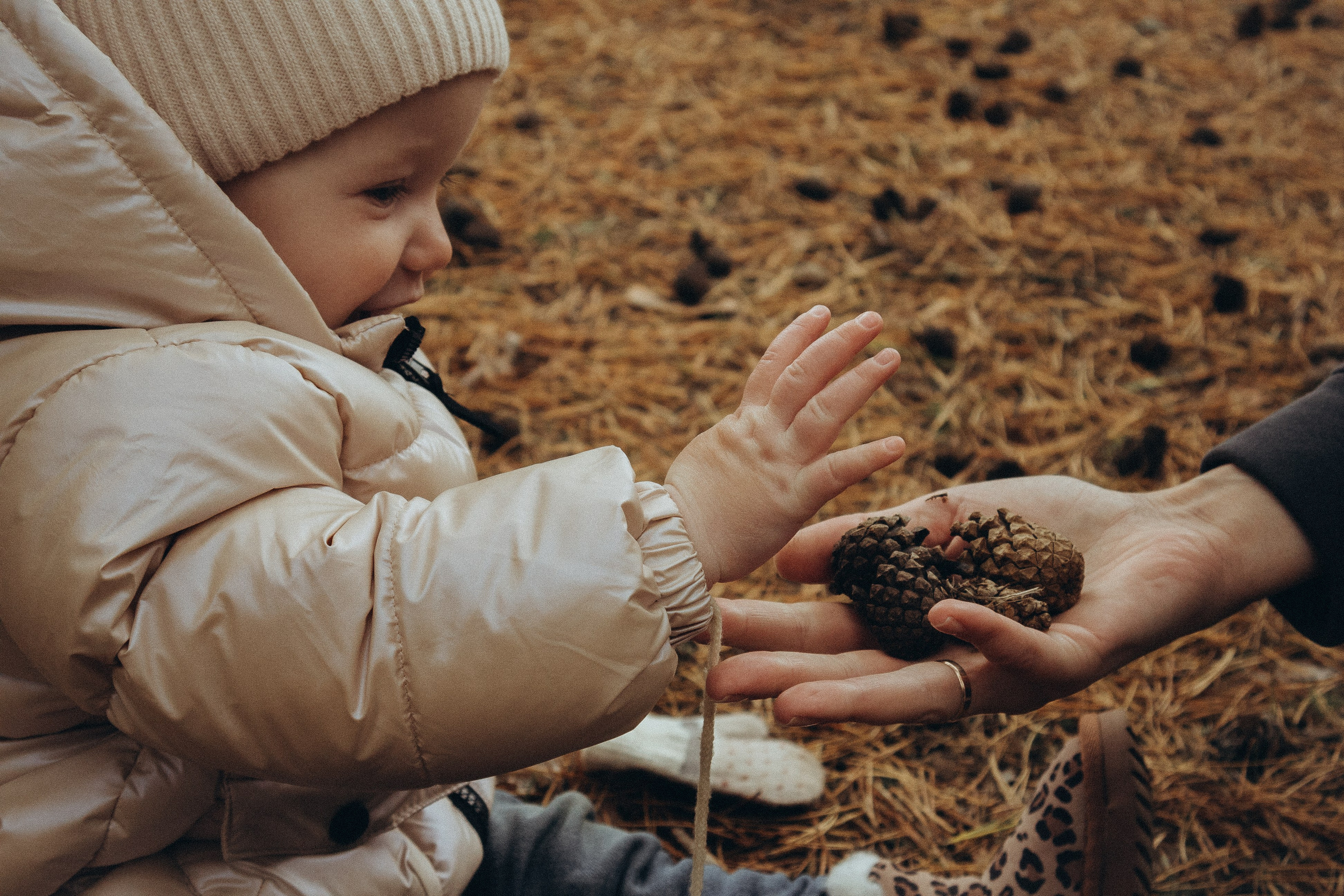 Осенний пикник. Фотограф Москва Алёна Суворова