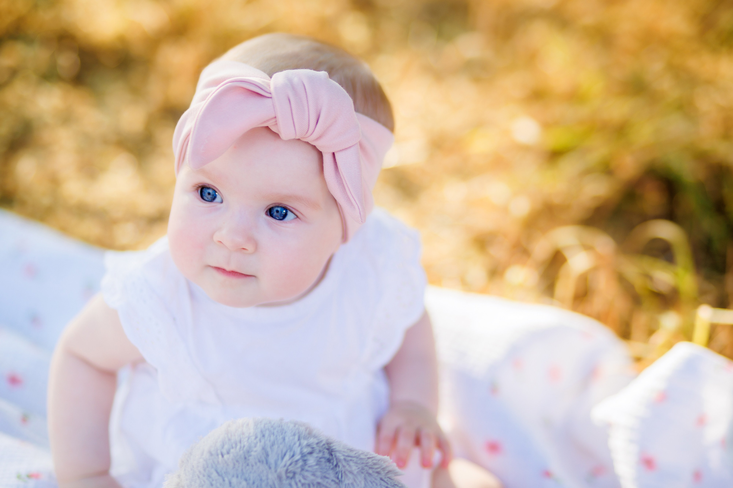 Прогулка на природе. Свадебный и семейный фотограф в Армавире