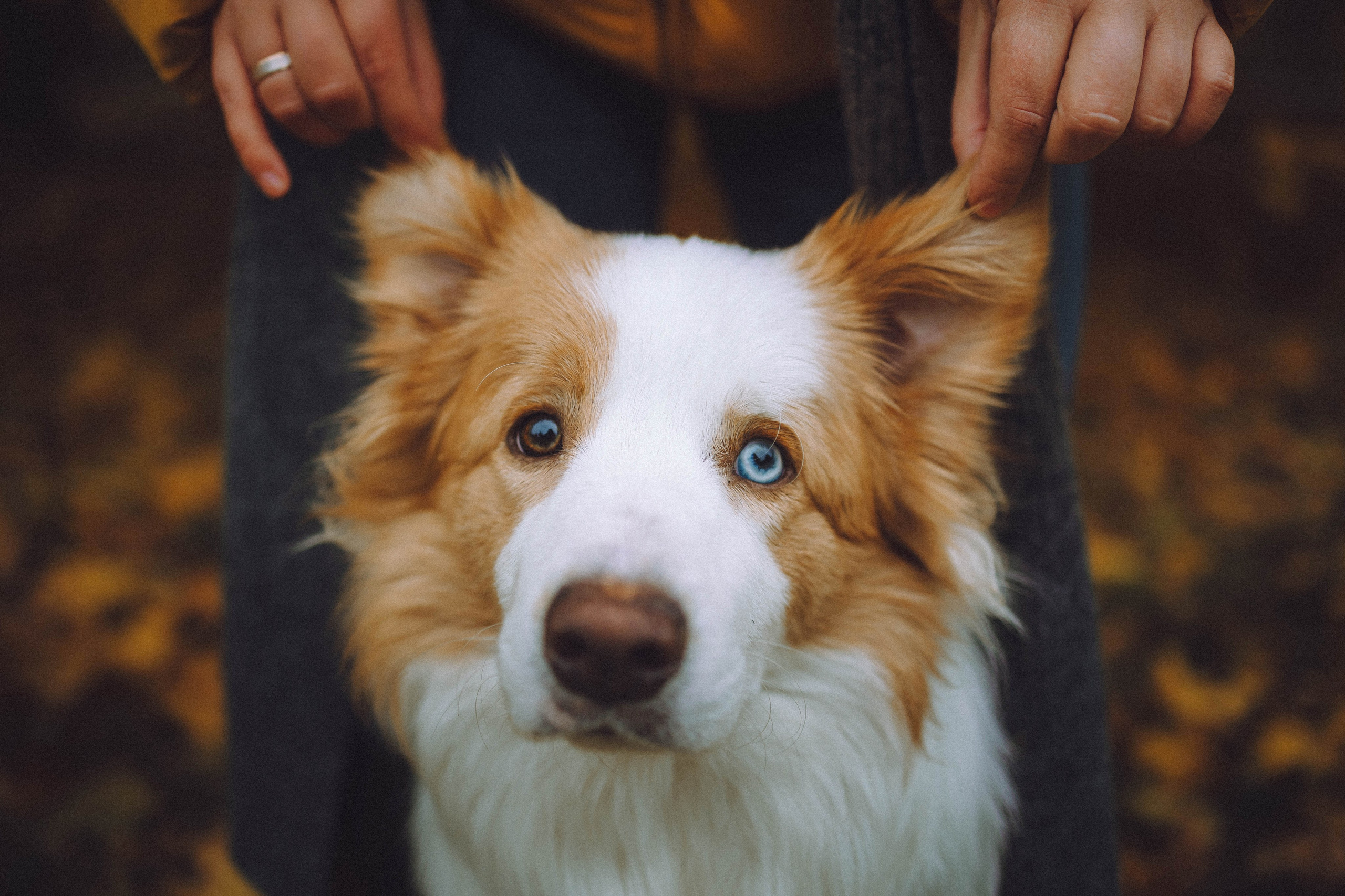 Алина, Витя и Асти