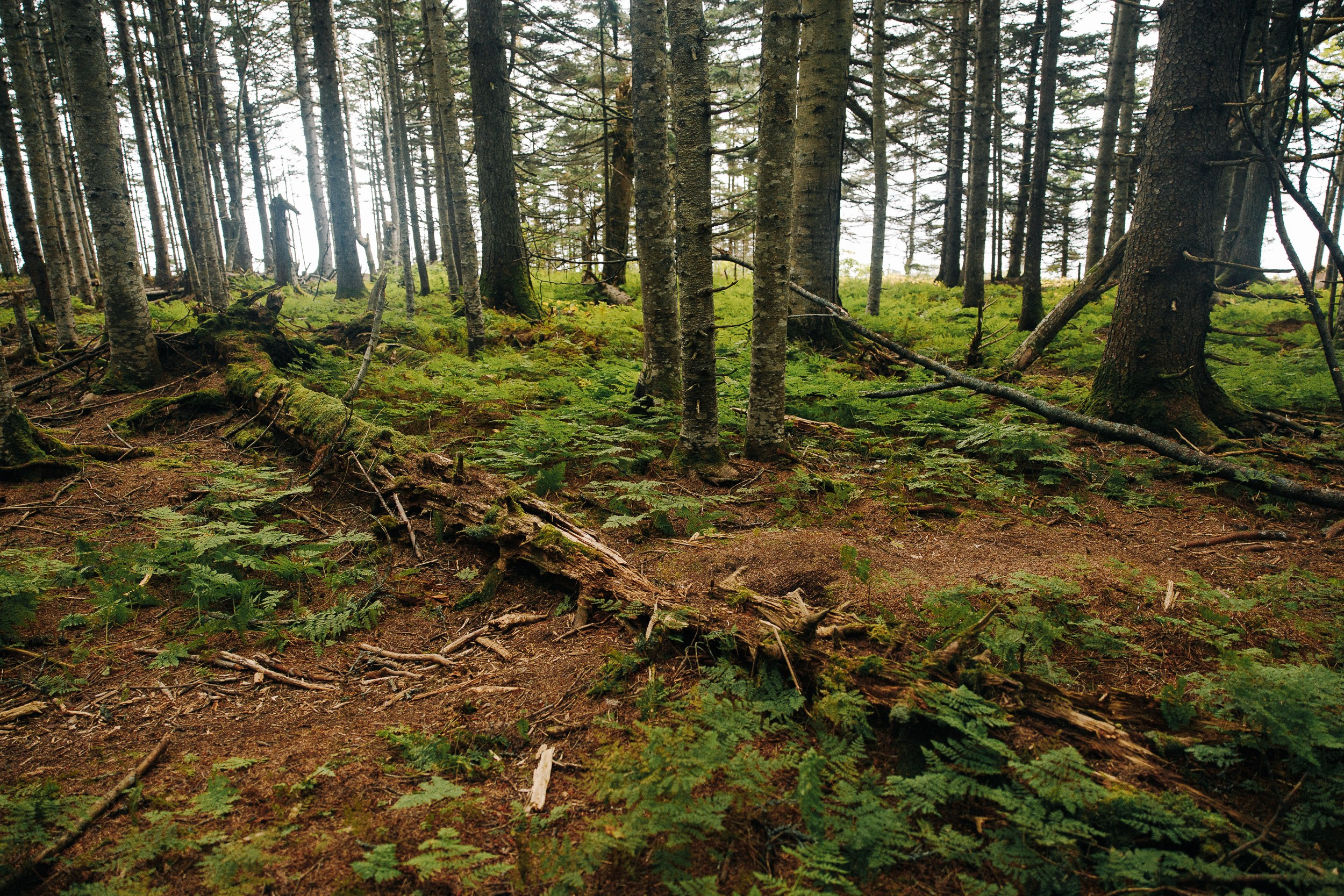 Сахалин (Итуруп)