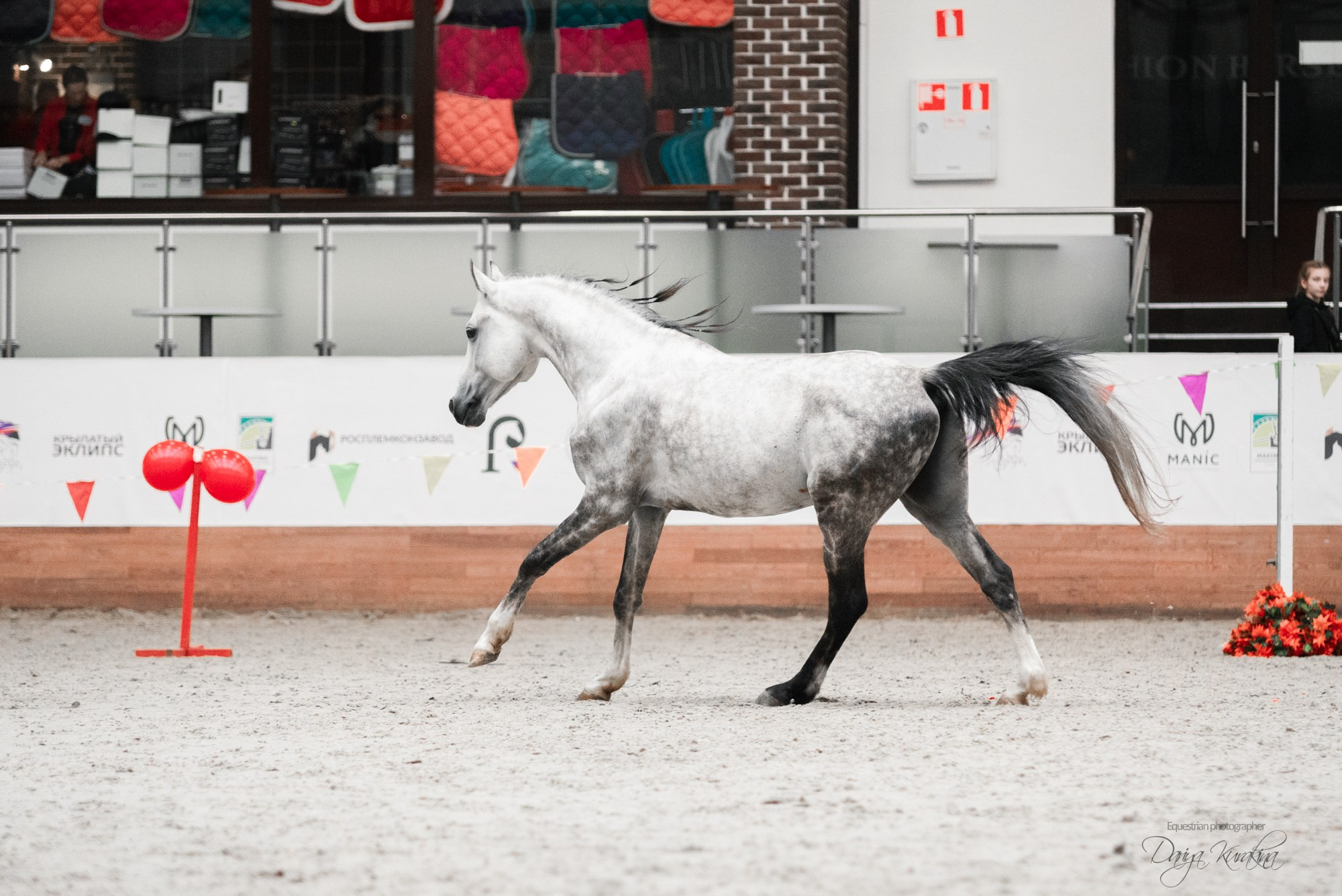 8-я международная выставка Конная Россия. Конный фотограф Куракина Дарья • Фотосессии с лошадьми