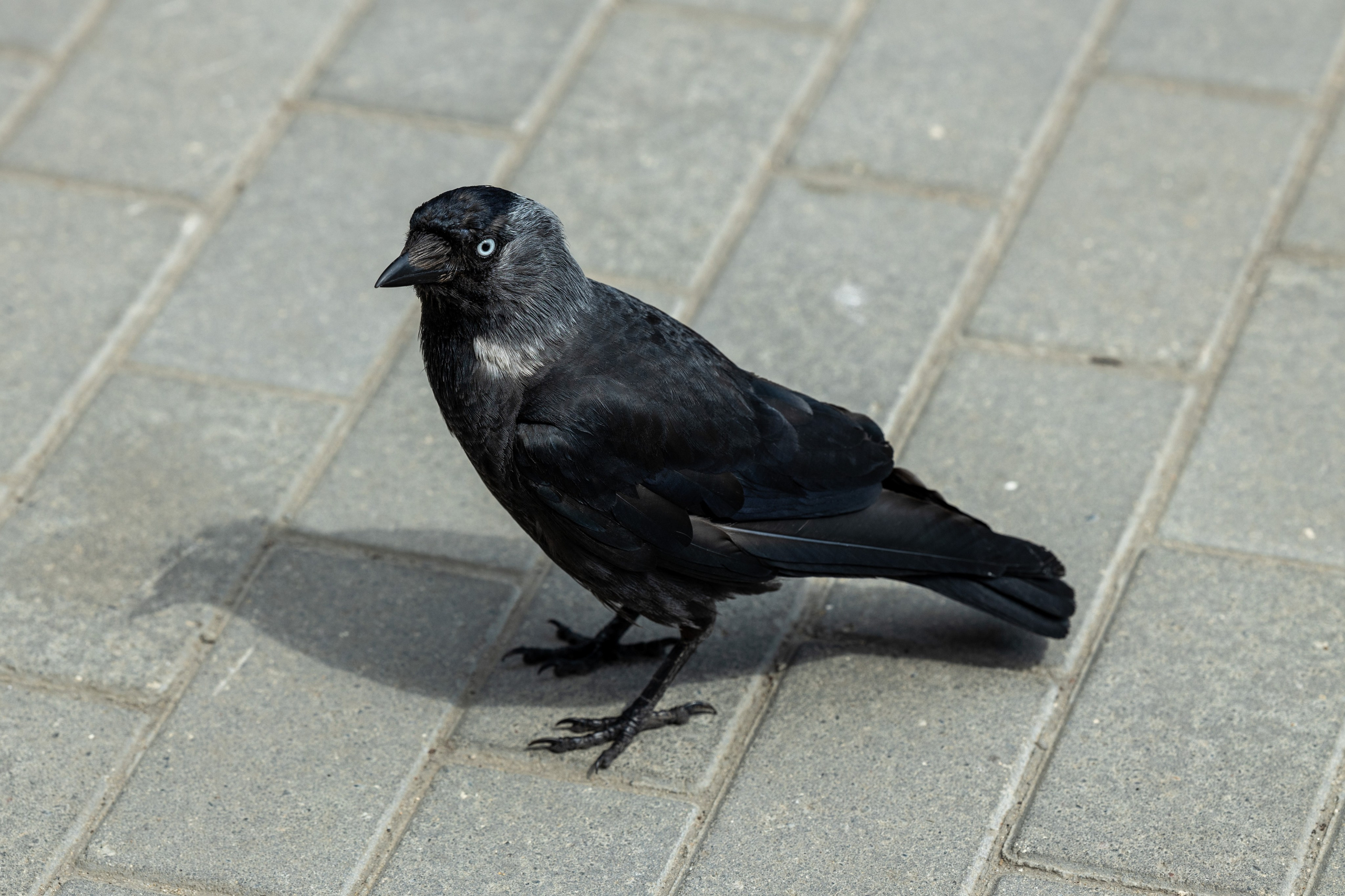 Природные пейзажи. Наталия Клевинскас портретный фотограф в Костроме