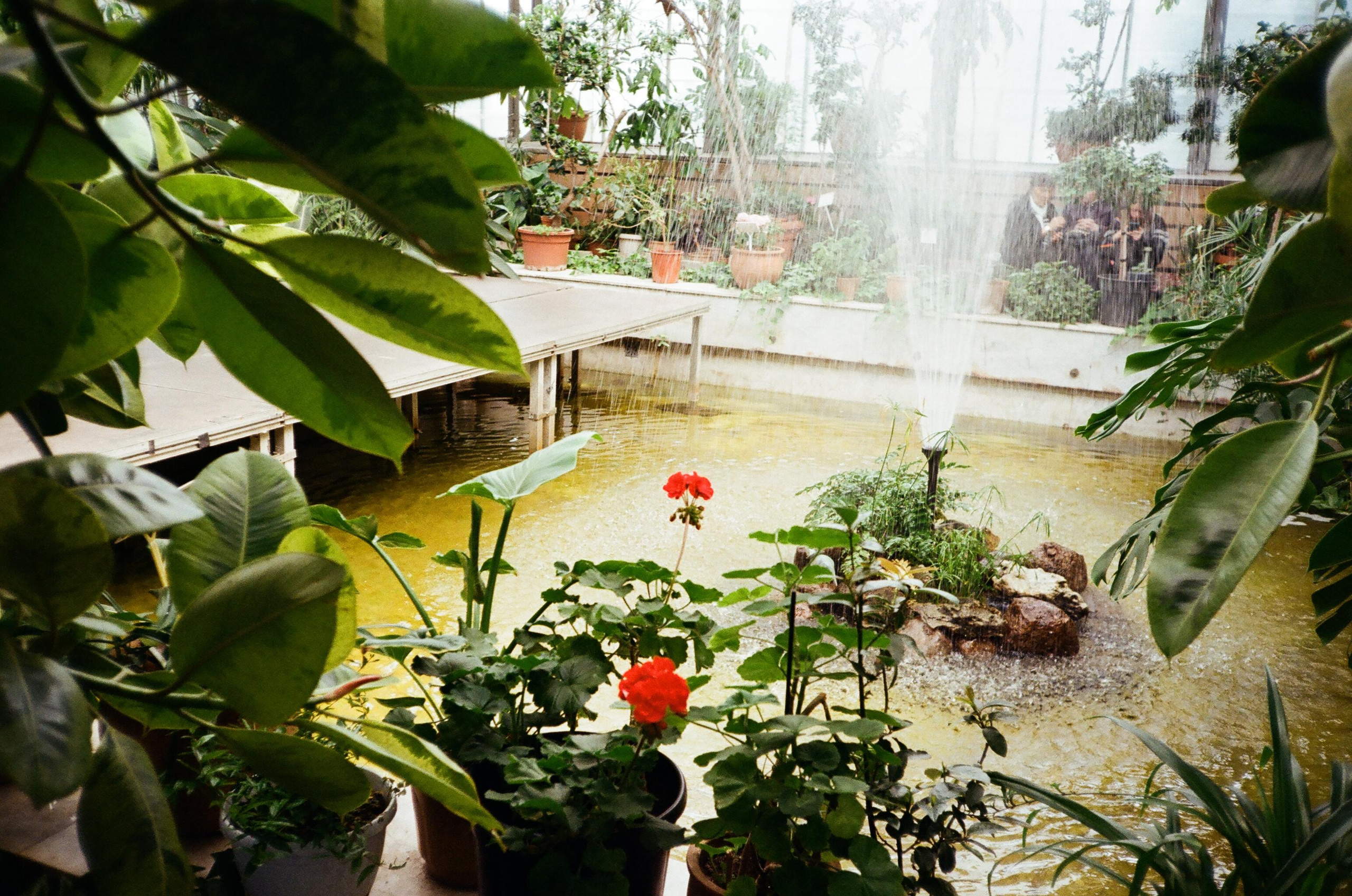 Пленка № 6. Фотограф Скворцова Дарья