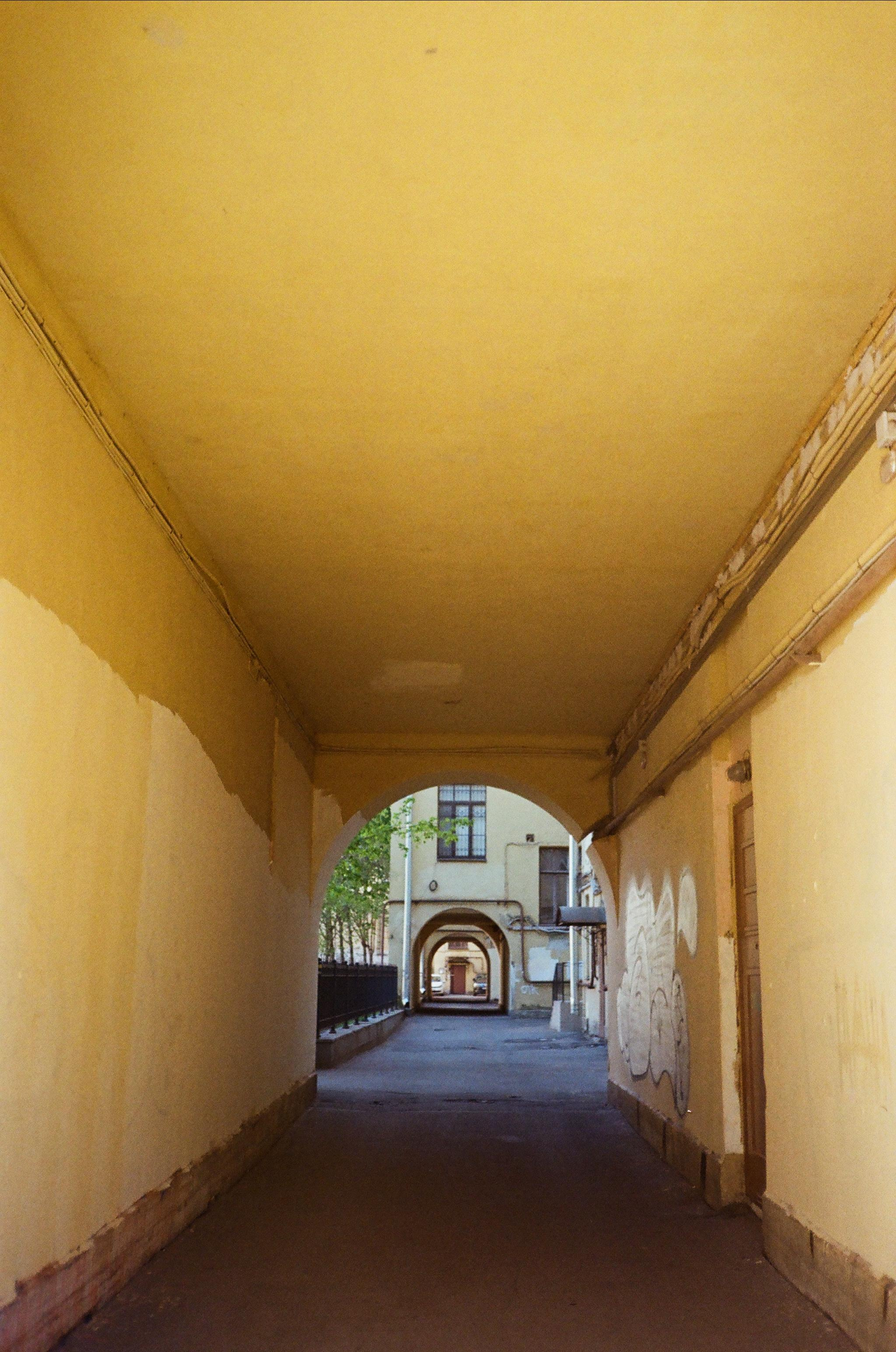 Пленка № 6. Фотограф Скворцова Дарья