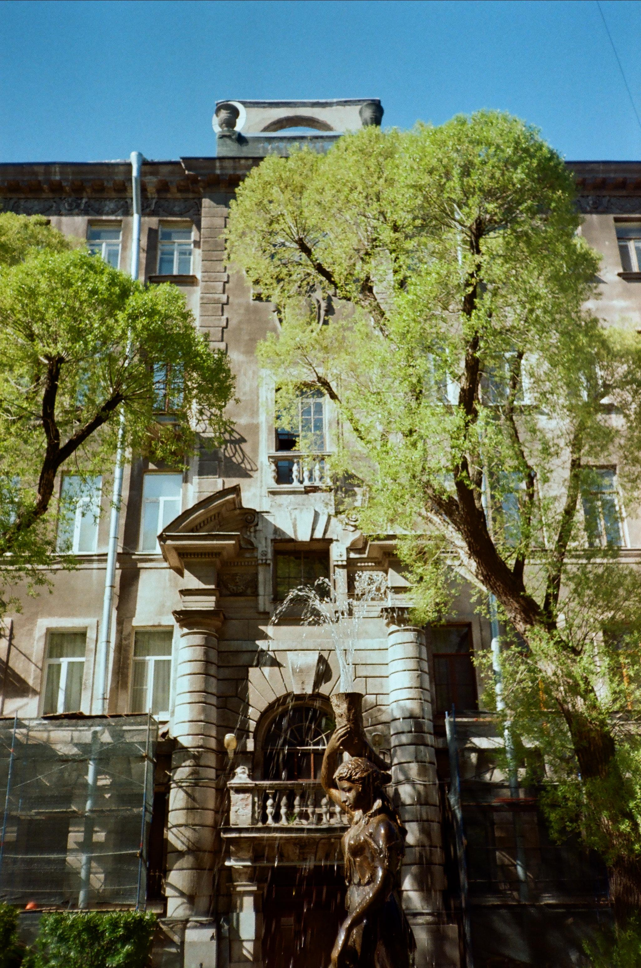 Пленка № 6. Фотограф Скворцова Дарья