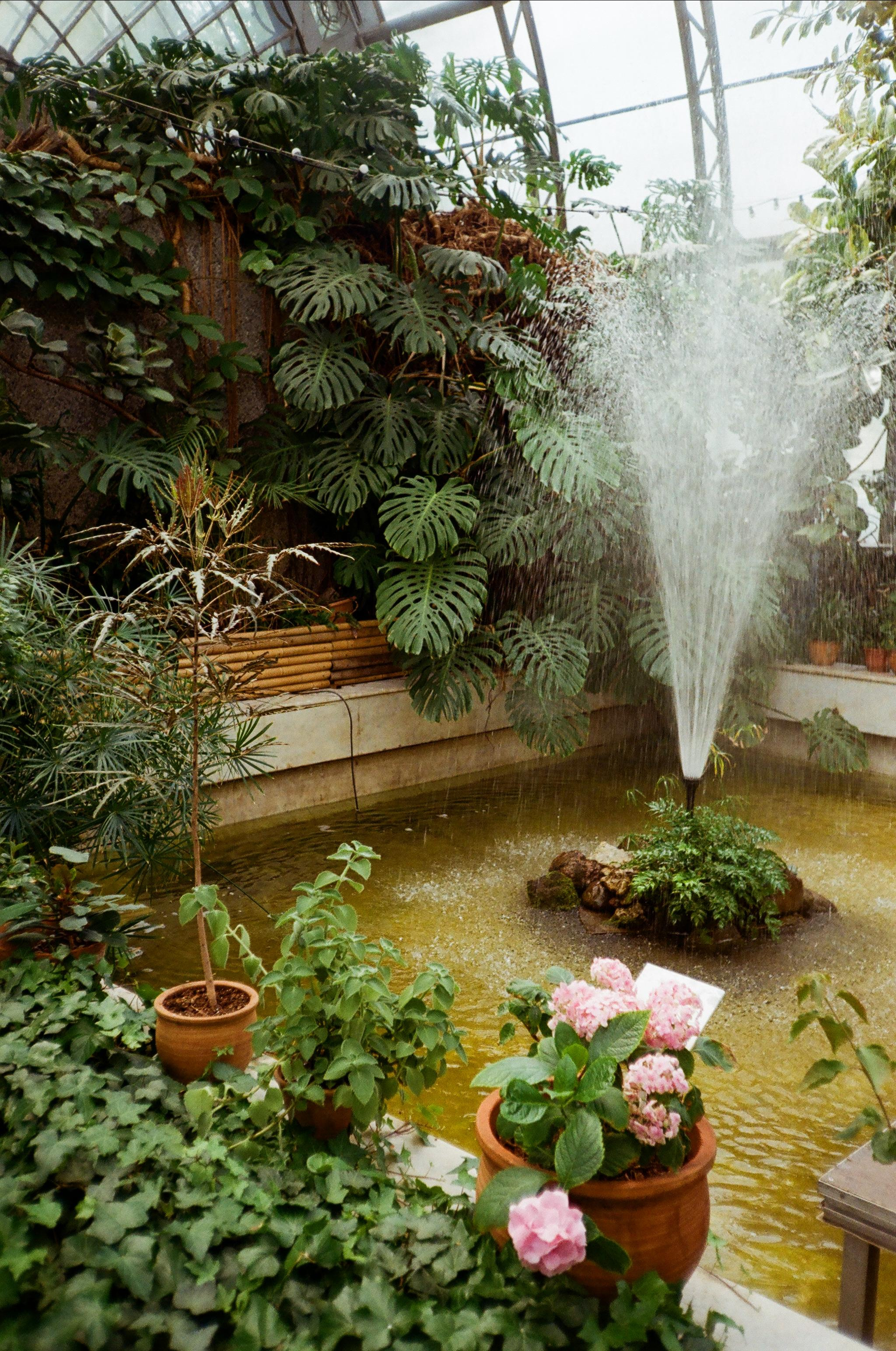 Пленка № 6. Фотограф Скворцова Дарья