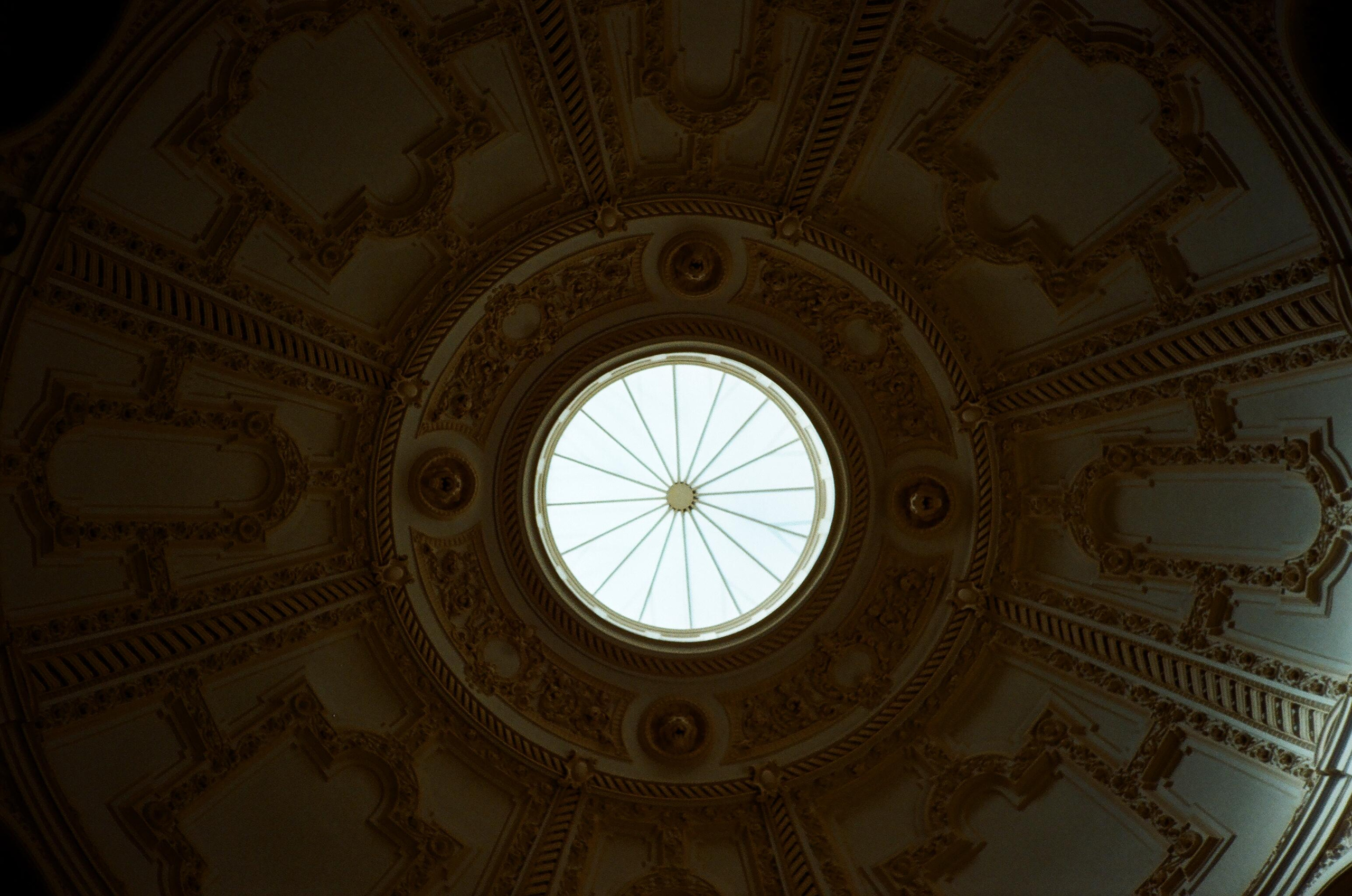 Пленка № 6. Фотограф Скворцова Дарья